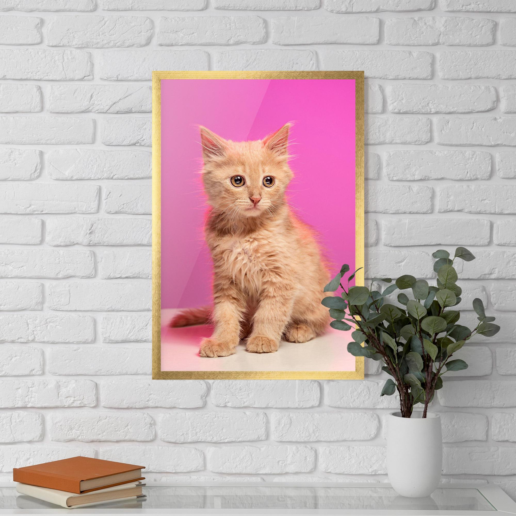 Gerahmte Poster Orange Cat On Pink mockup 5