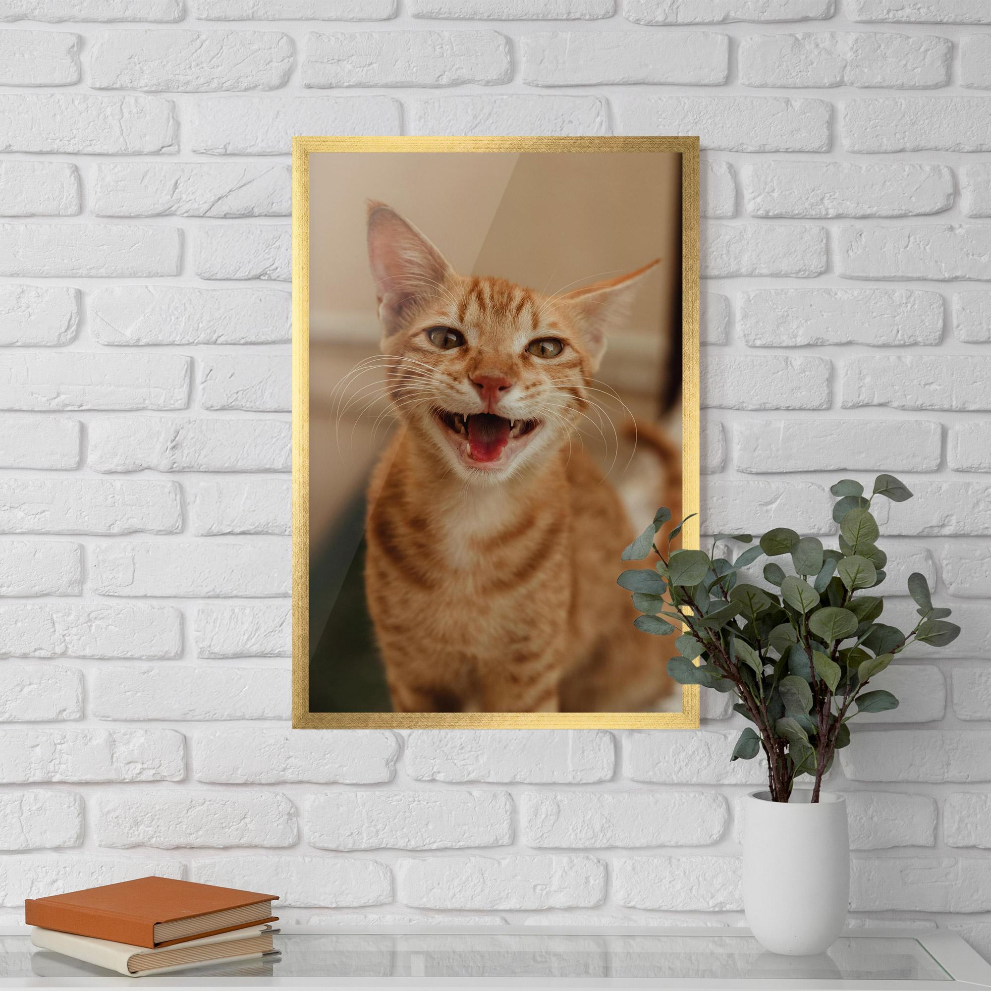 Gerahmte Poster Orange Cat Smiling mockup 5