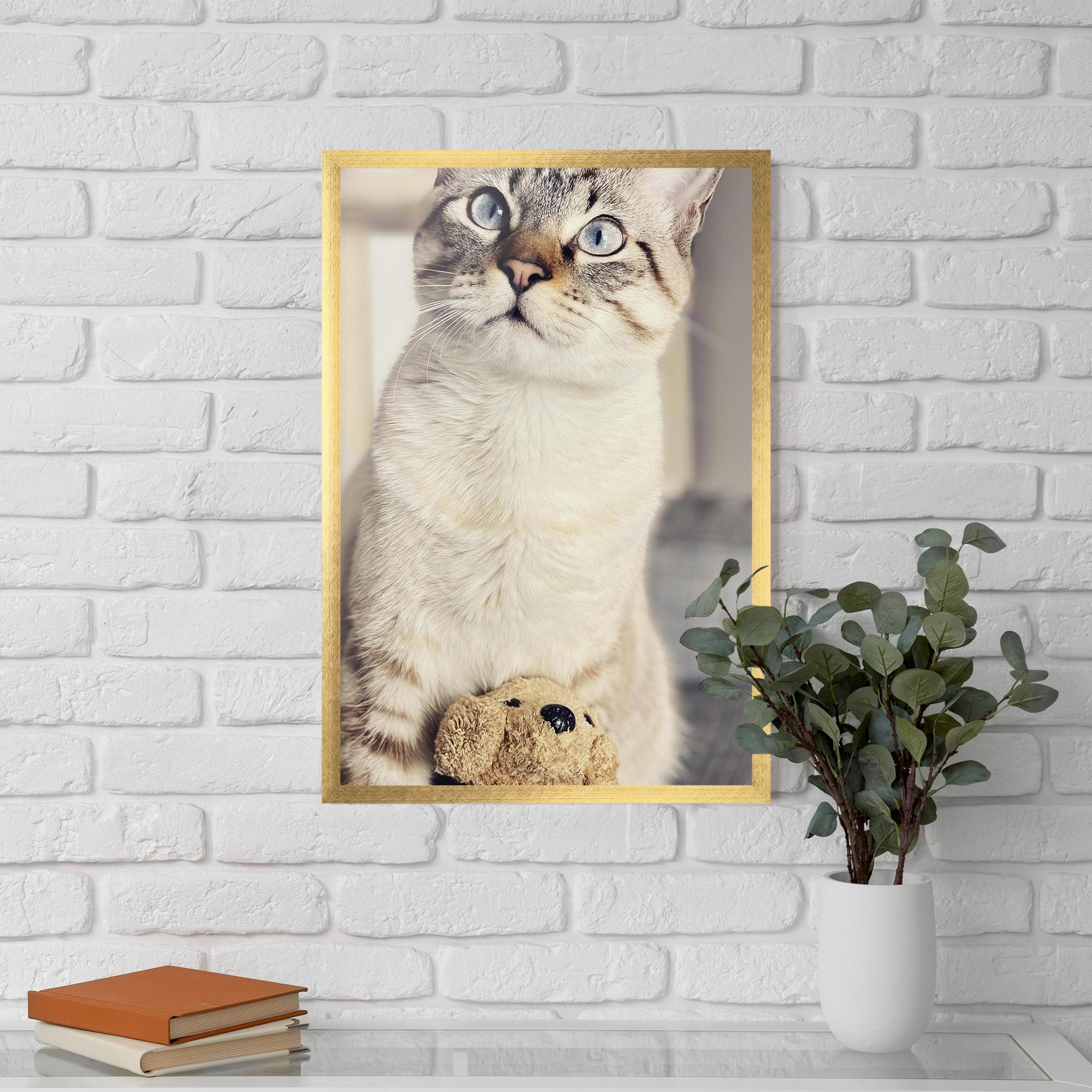 Gerahmte Poster Pretty Blue Eyes Cat mockup 5