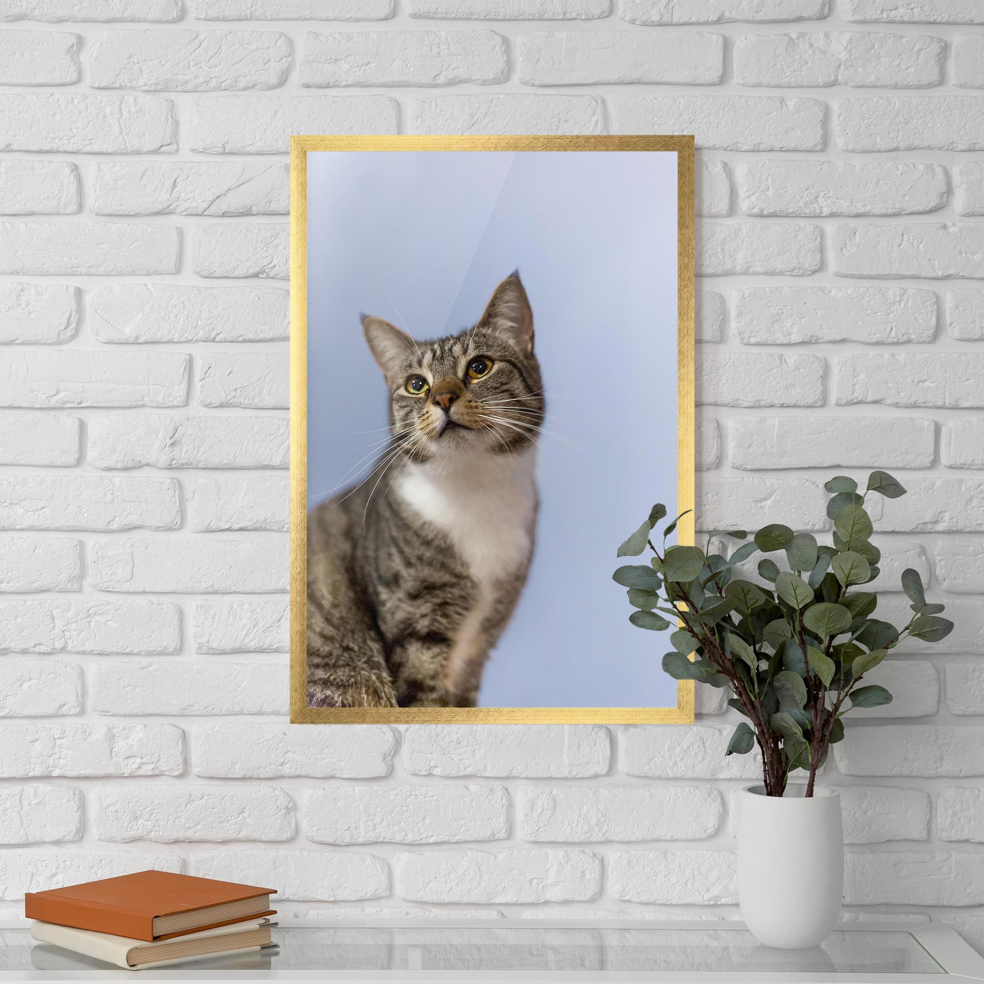 Gerahmte Poster Yellow Eyes Cat mockup 5