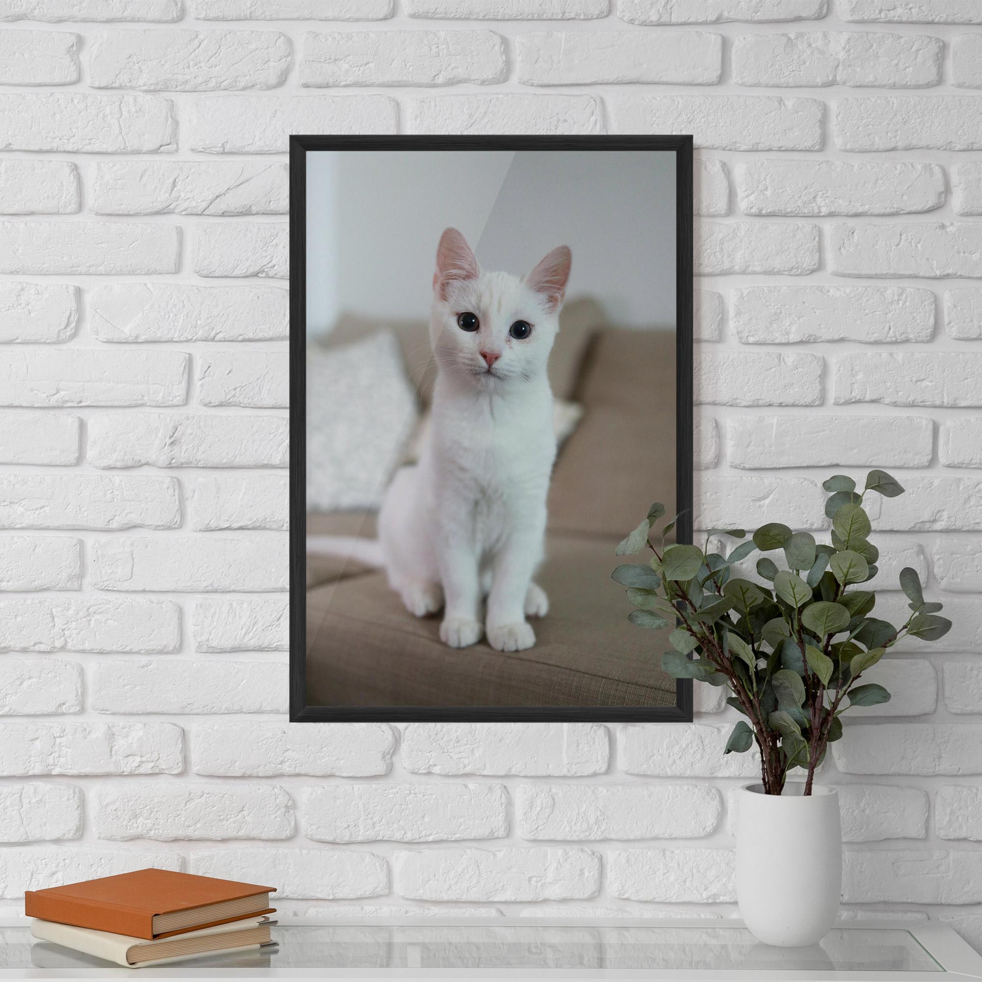 Gerahmte Poster Beautiful White Cat mockup 5