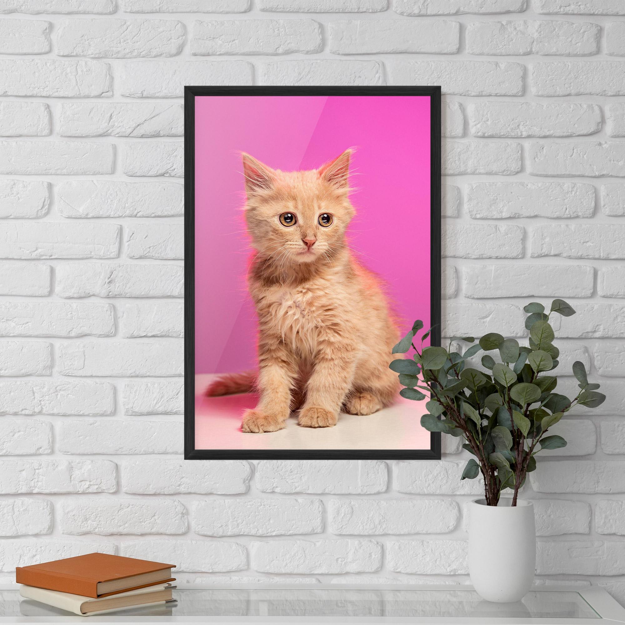 Gerahmte Poster Orange Cat On Pink mockup 5