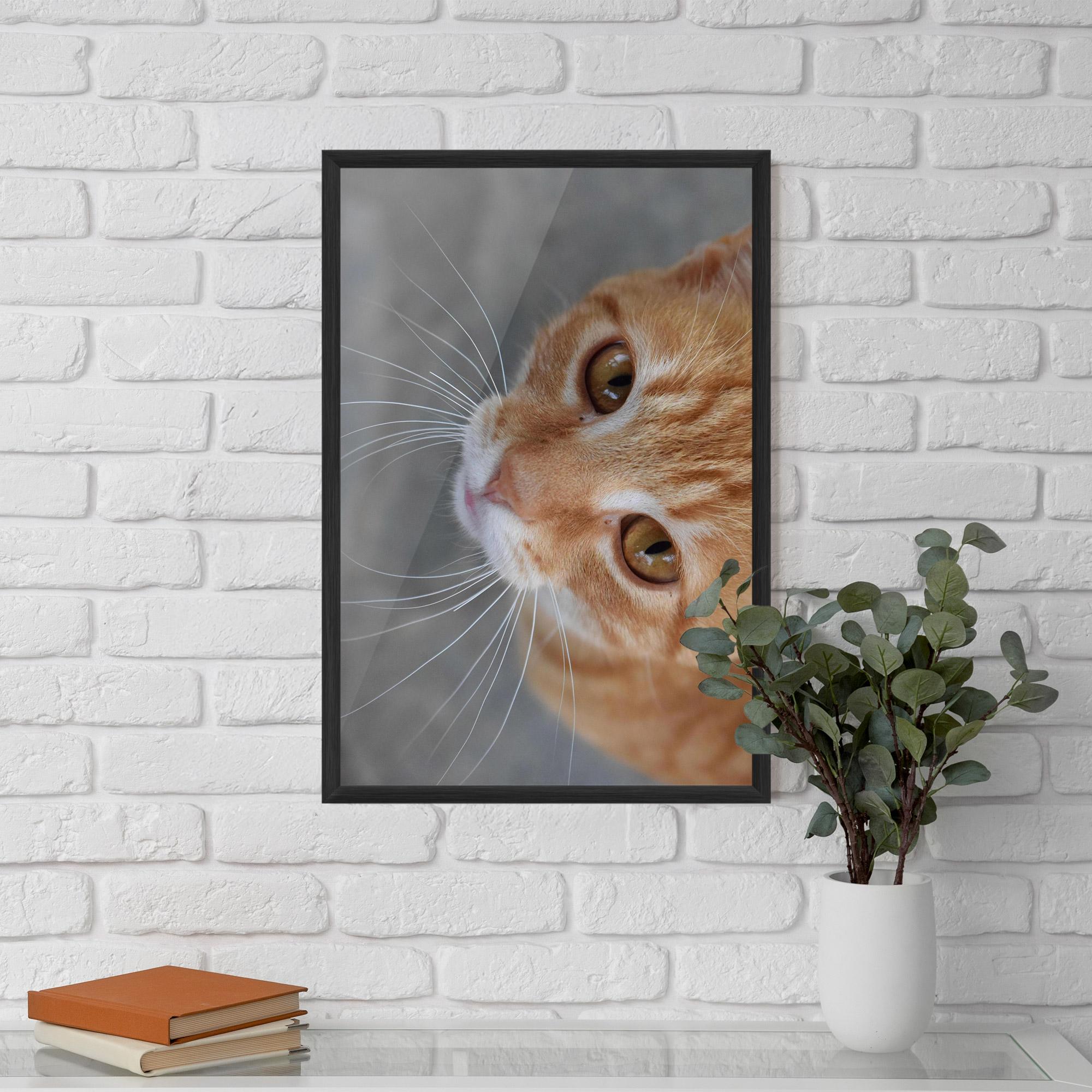 Gerahmte Poster Pretty Orange Eyes Cat mockup 5