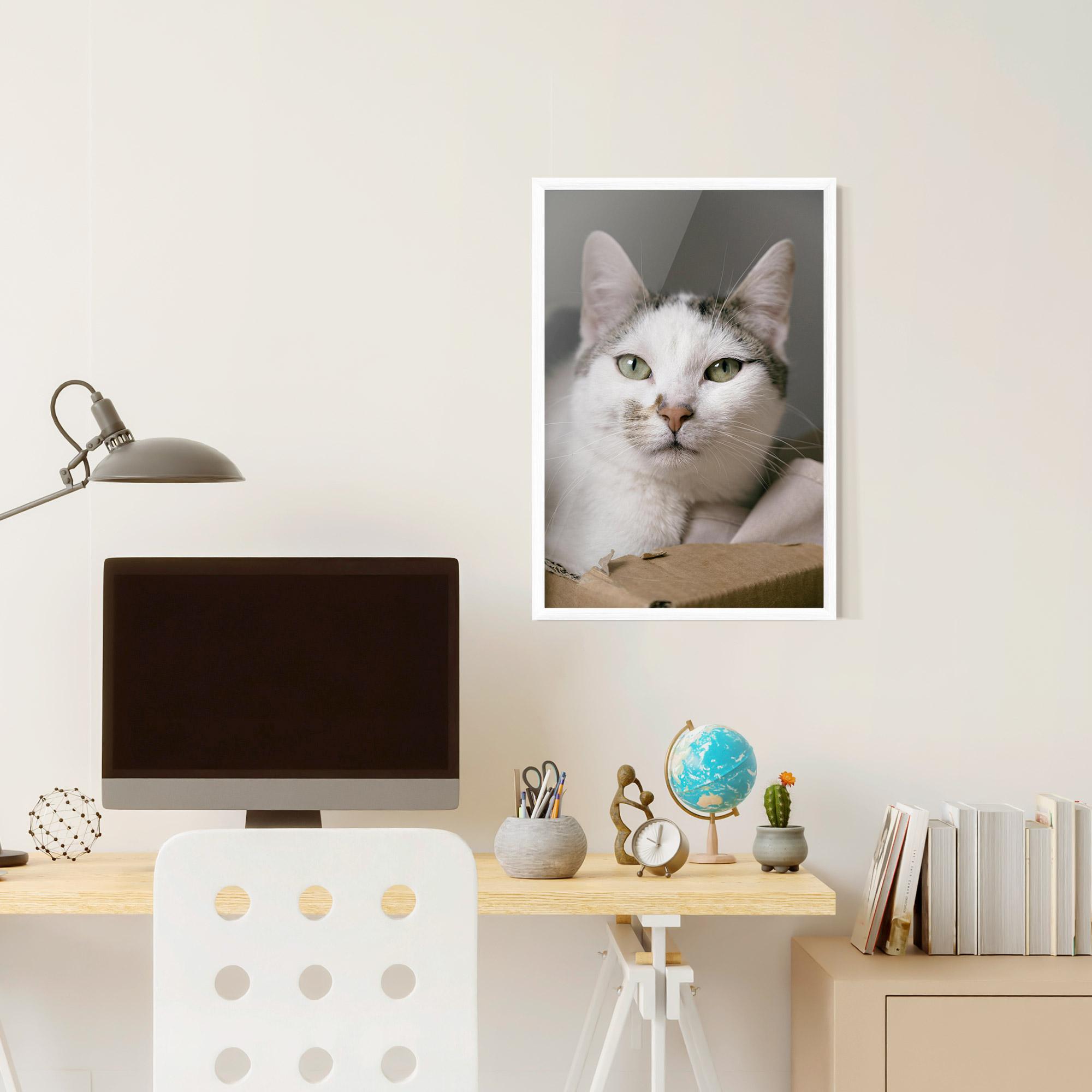 Gerahmte Poster Big Sleepy Cat mockup 6