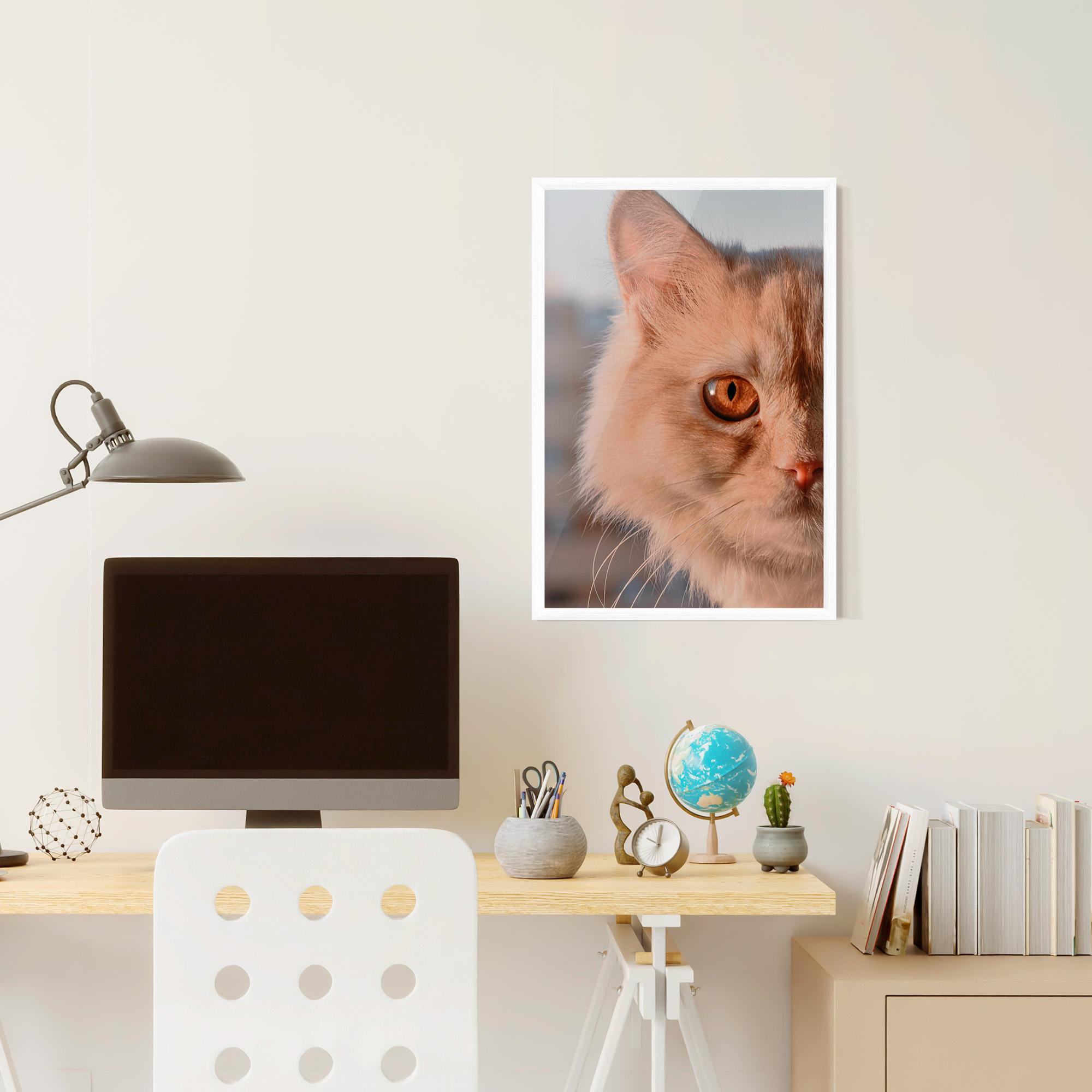 Gerahmte Poster Cat Eye In Sun mockup 6