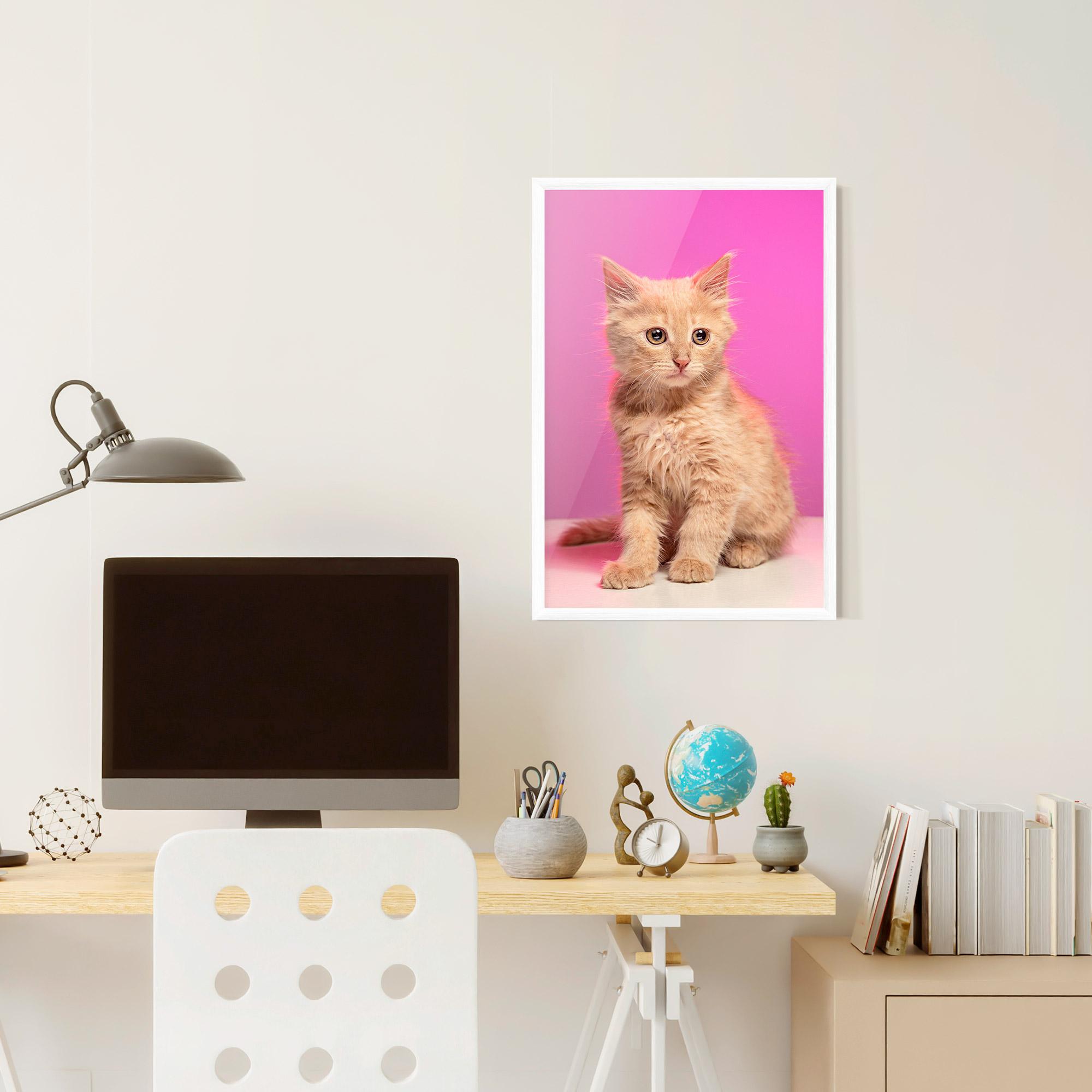 Gerahmte Poster Orange Cat On Pink mockup 6