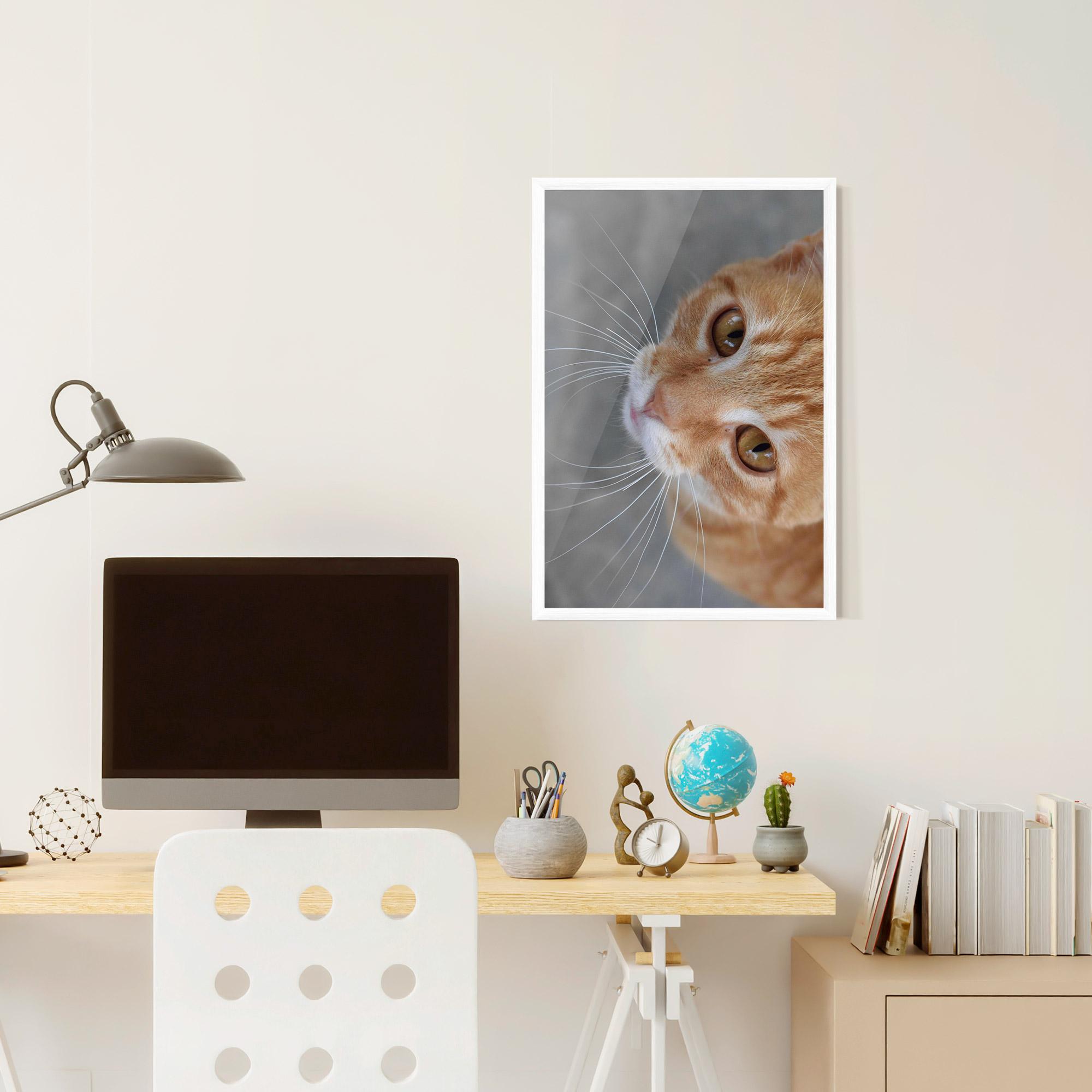 Gerahmte Poster Pretty Orange Eyes Cat mockup 6