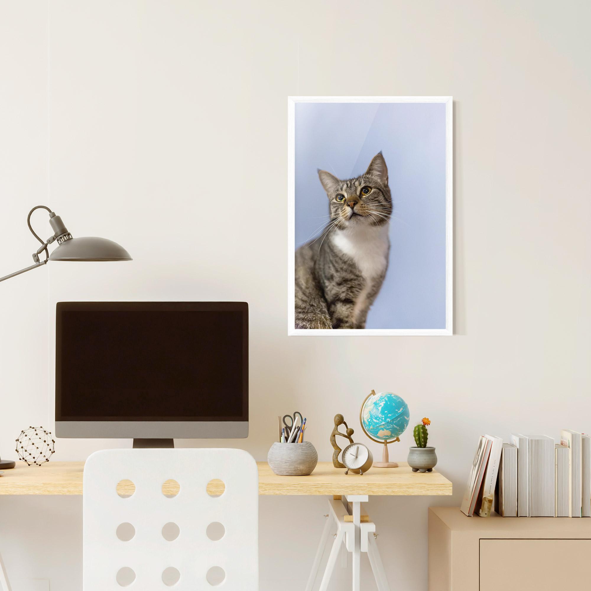 Gerahmte Poster Yellow Eyes Cat mockup 6
