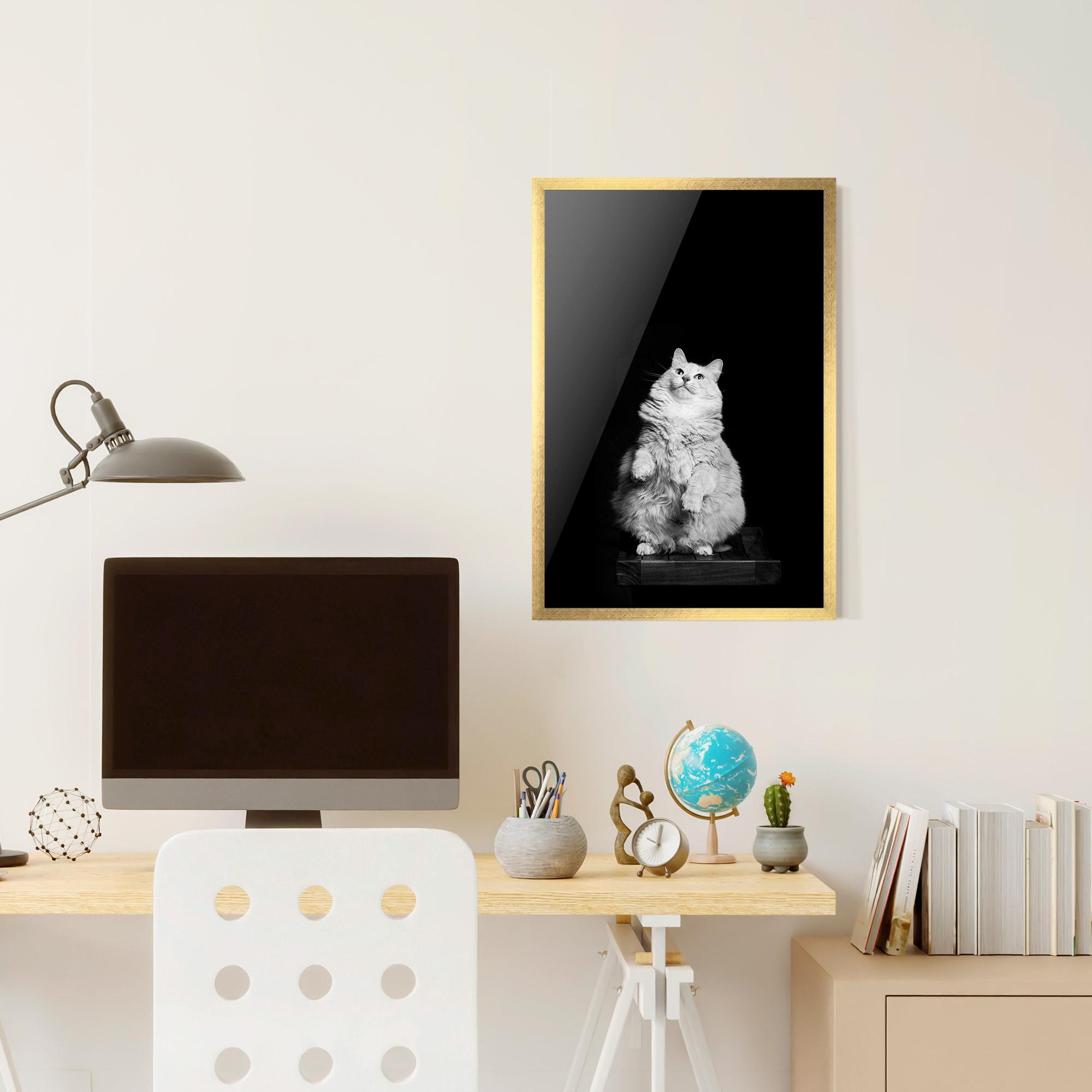 Gerahmte Poster Big Fluffy Cat mockup 6