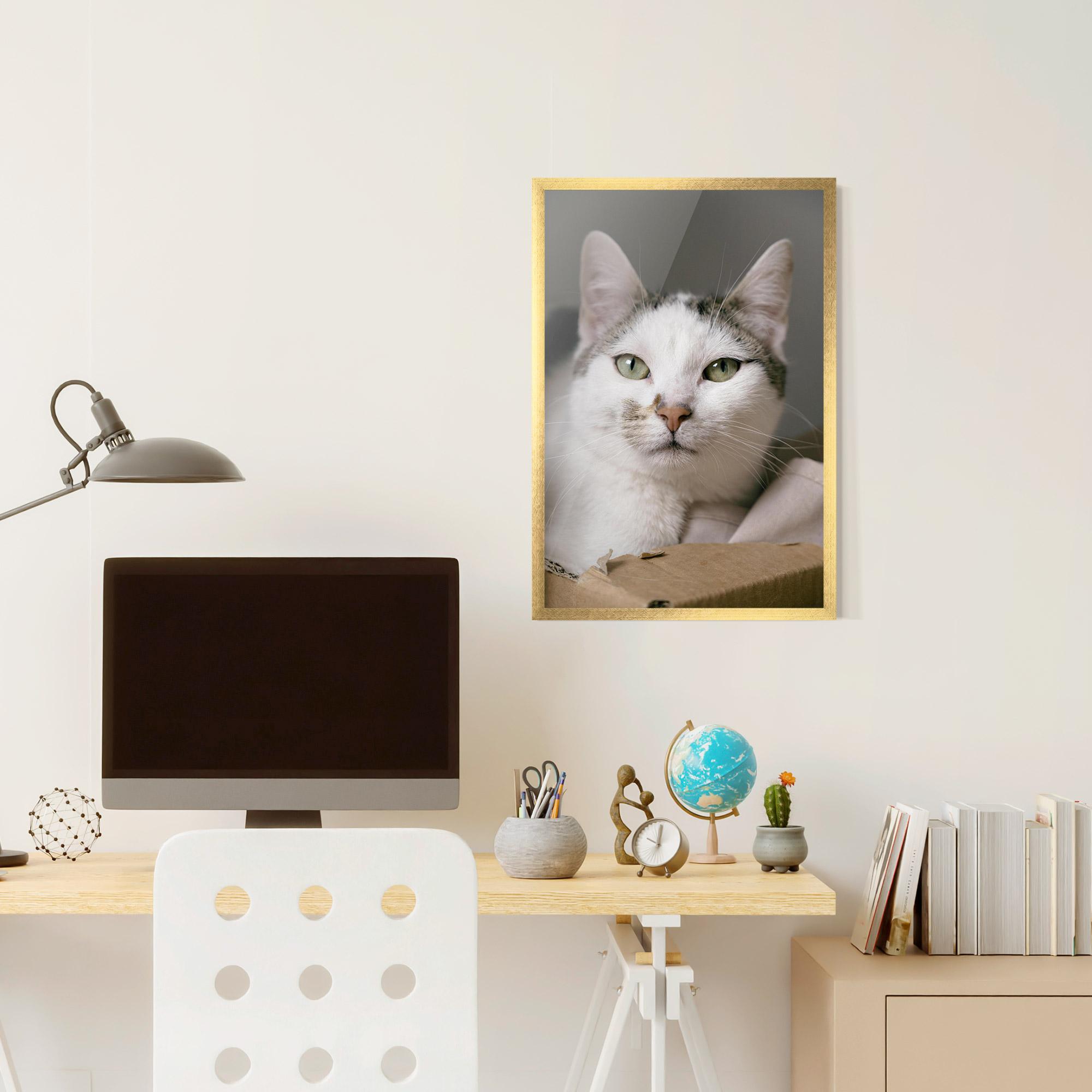 Gerahmte Poster Big Sleepy Cat mockup 6