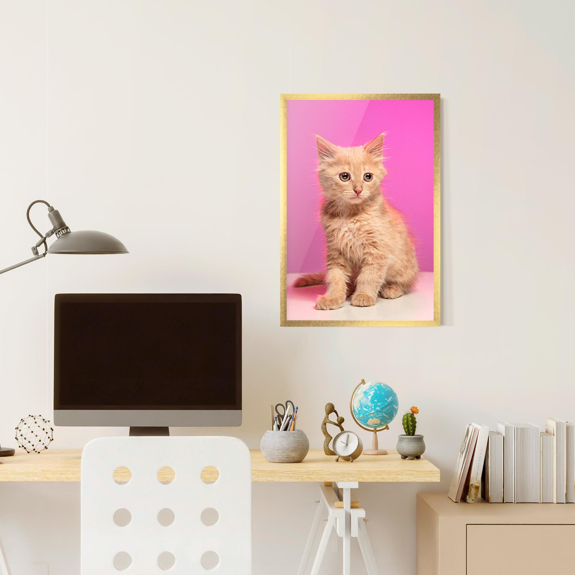 Gerahmte Poster Orange Cat On Pink mockup 6