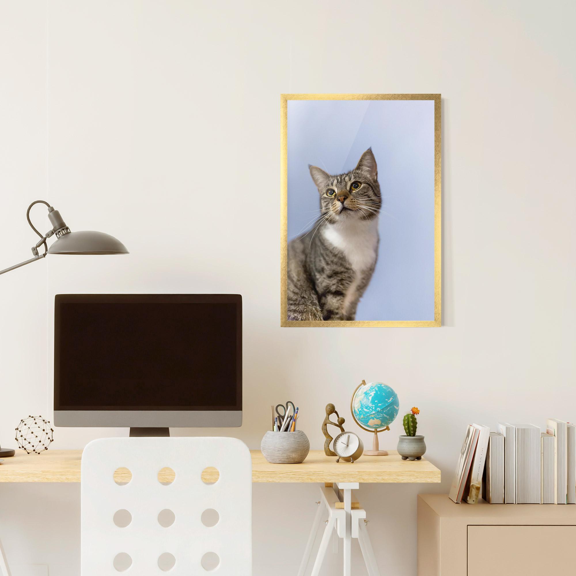 Gerahmte Poster Yellow Eyes Cat mockup 6