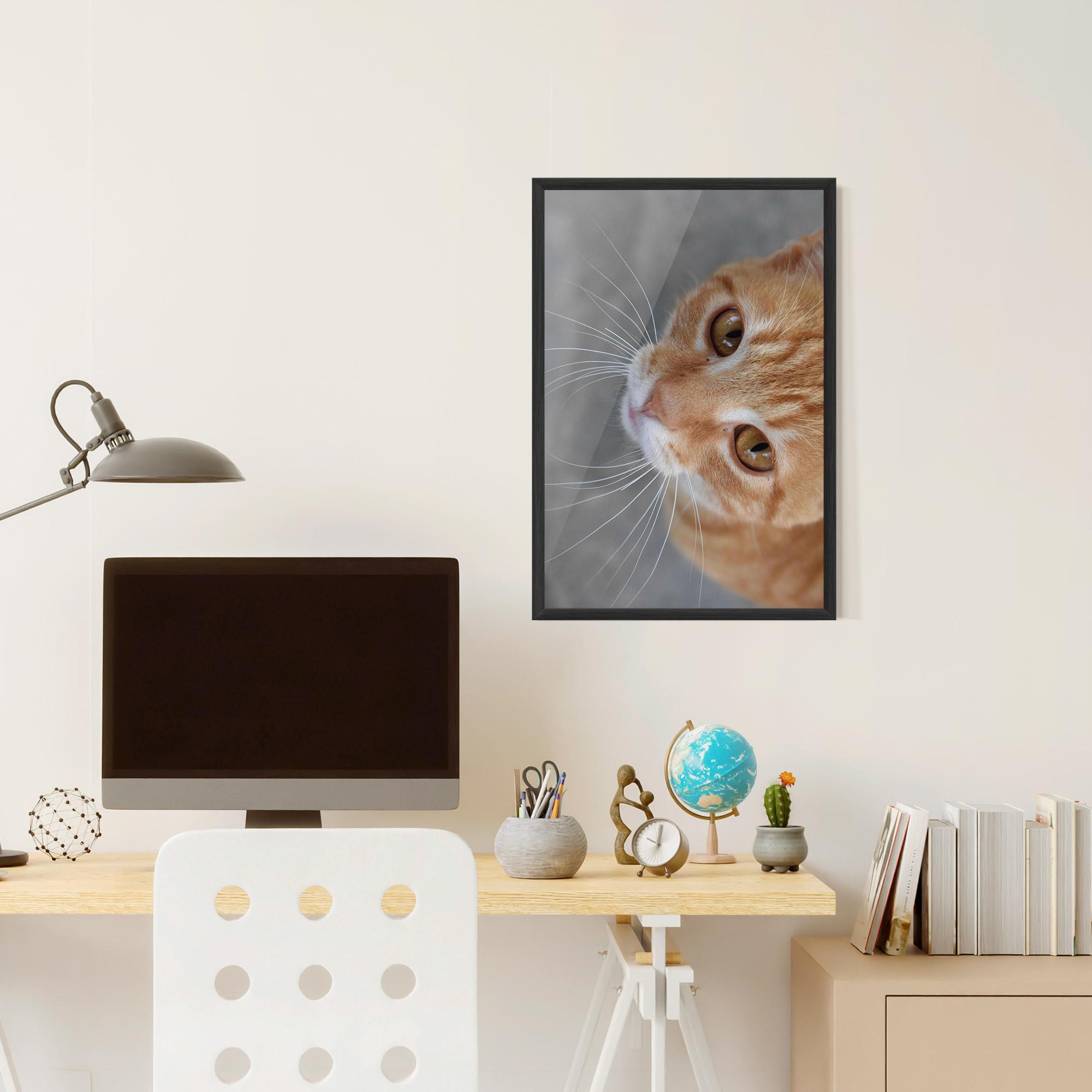 Gerahmte Poster Pretty Orange Eyes Cat mockup 6