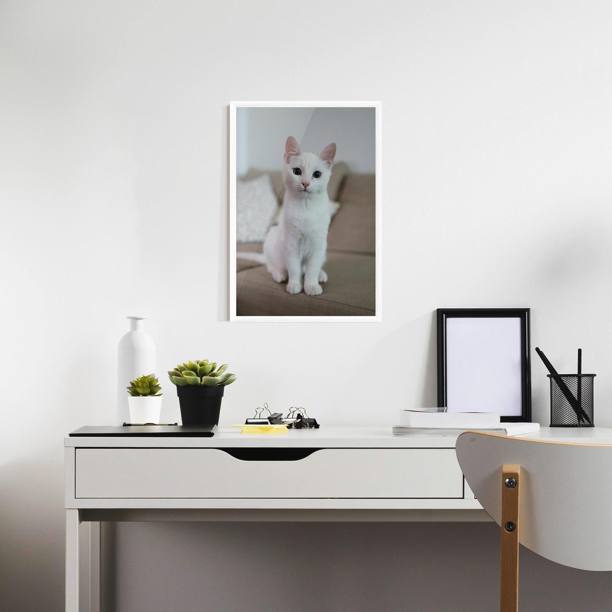 Gerahmte Poster Beautiful White Cat mockup 7