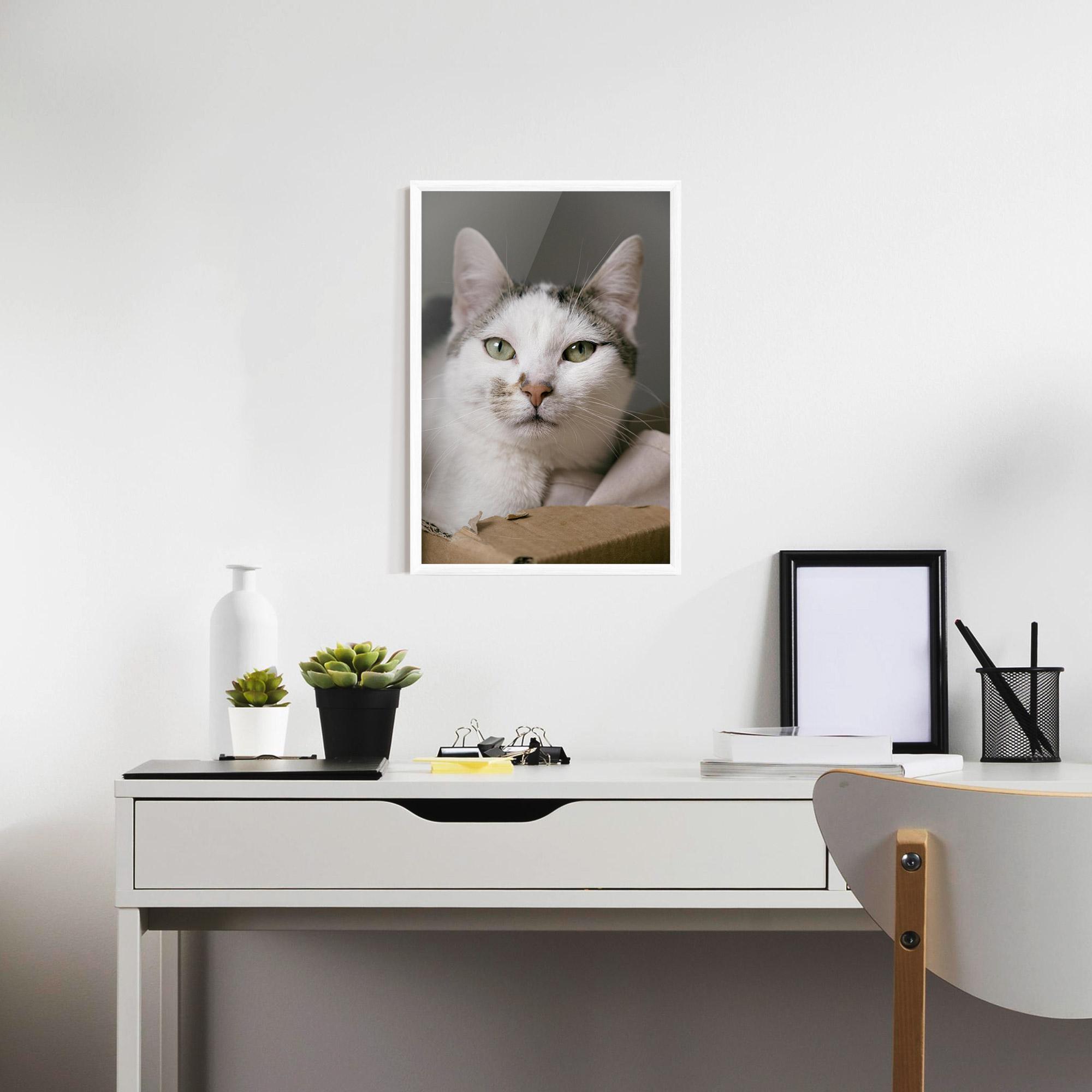Gerahmte Poster Big Sleepy Cat mockup 7