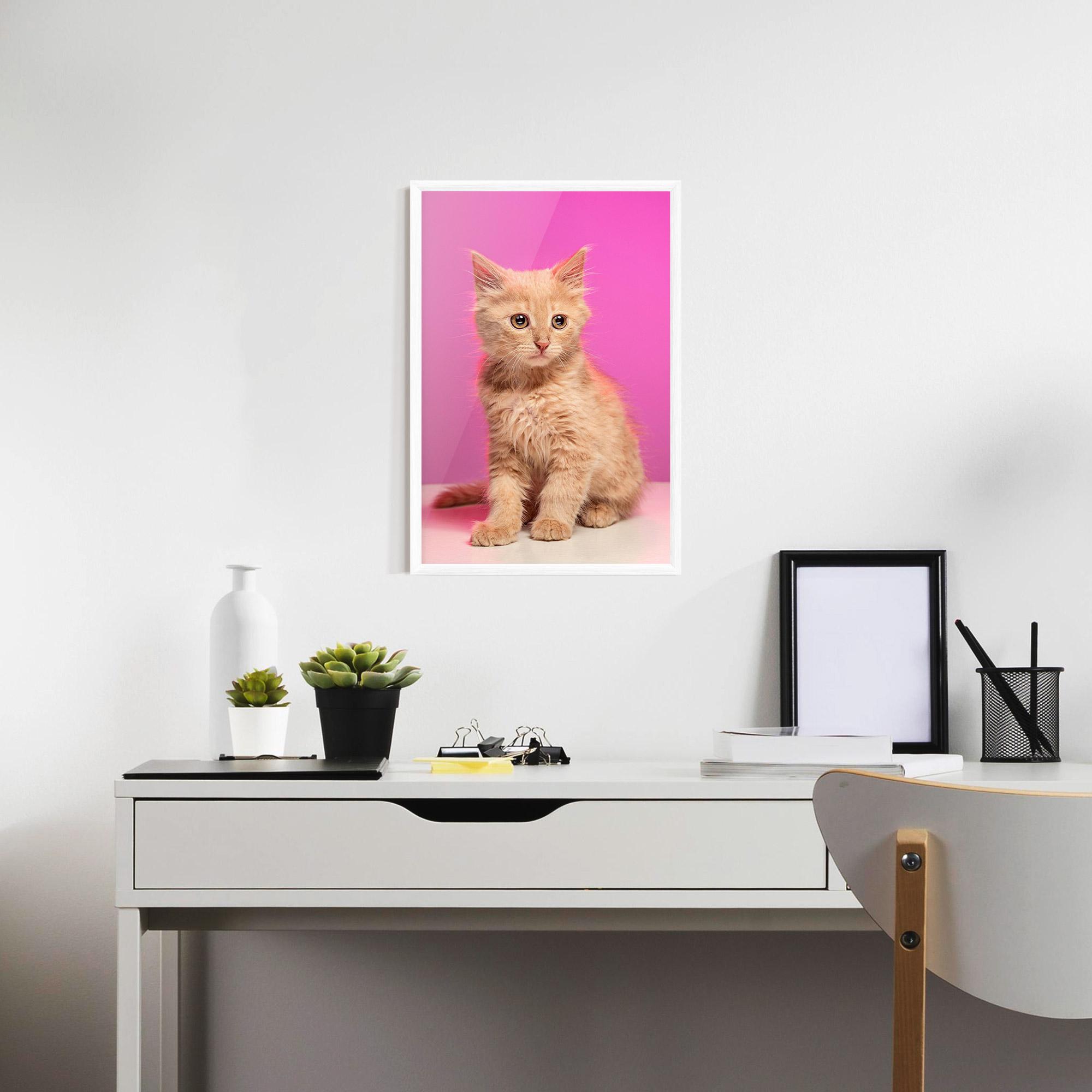 Gerahmte Poster Orange Cat On Pink mockup 7