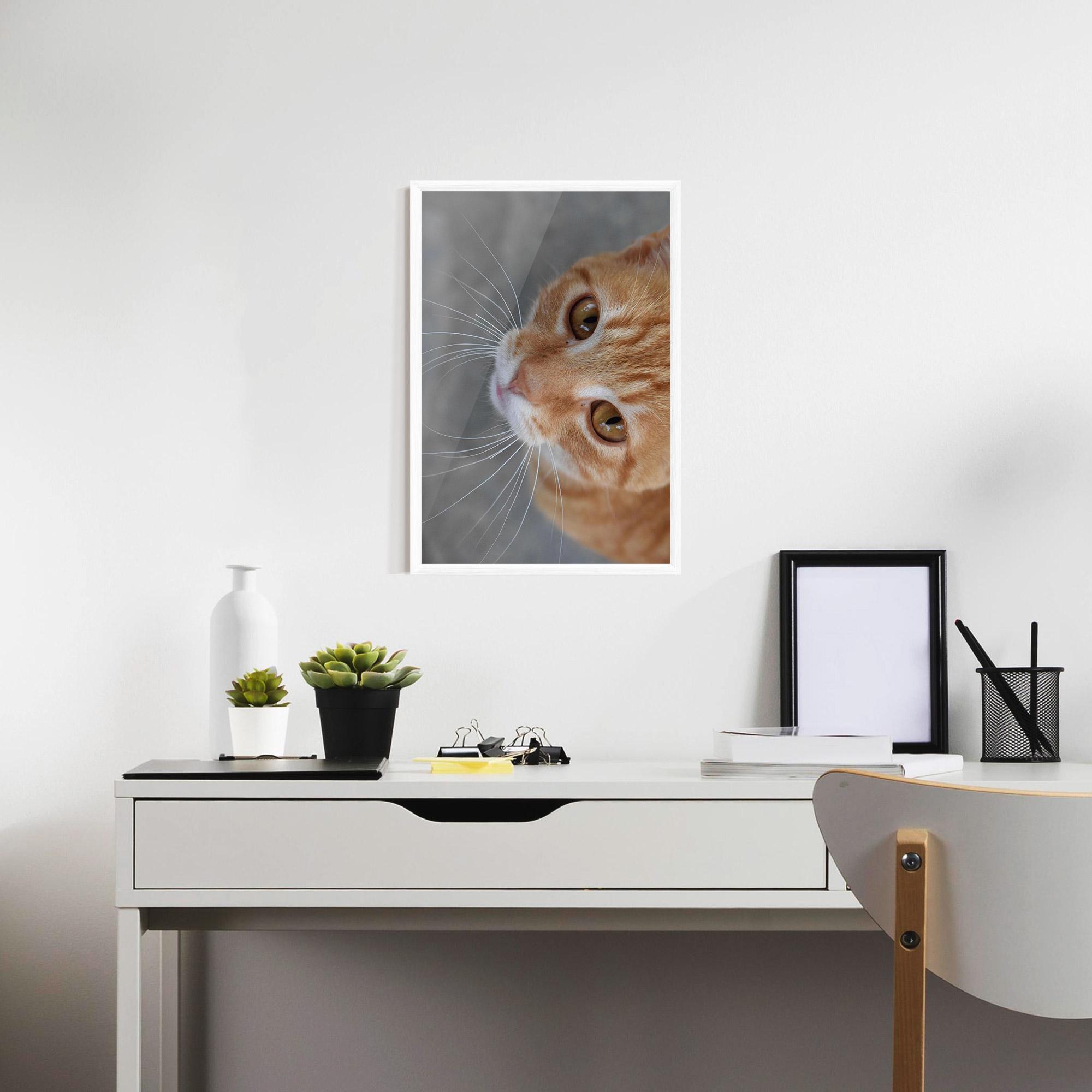 Gerahmte Poster Pretty Orange Eyes Cat mockup 7