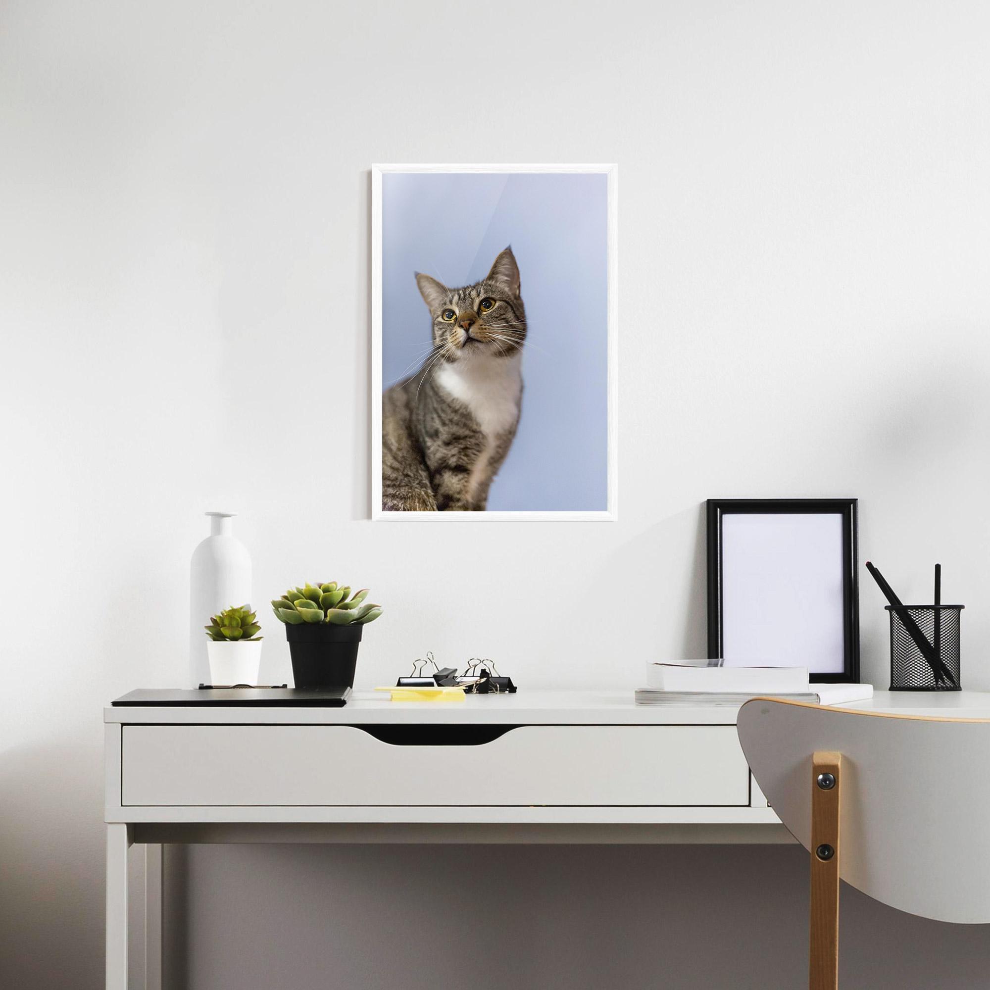 Gerahmte Poster Yellow Eyes Cat mockup 7