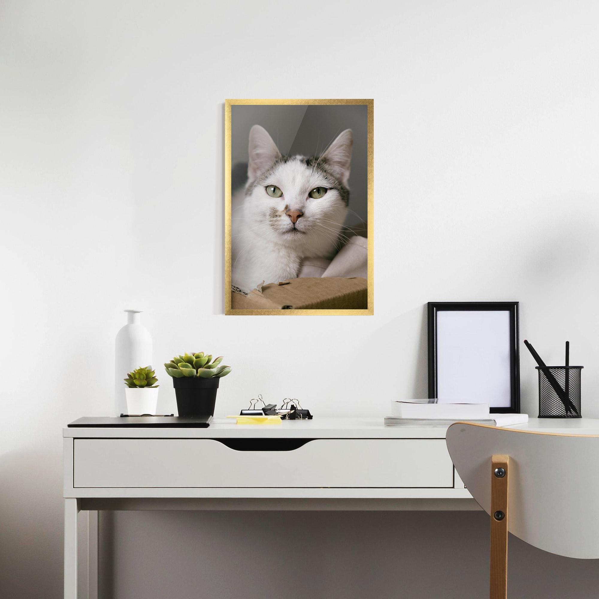Gerahmte Poster Big Sleepy Cat mockup 7