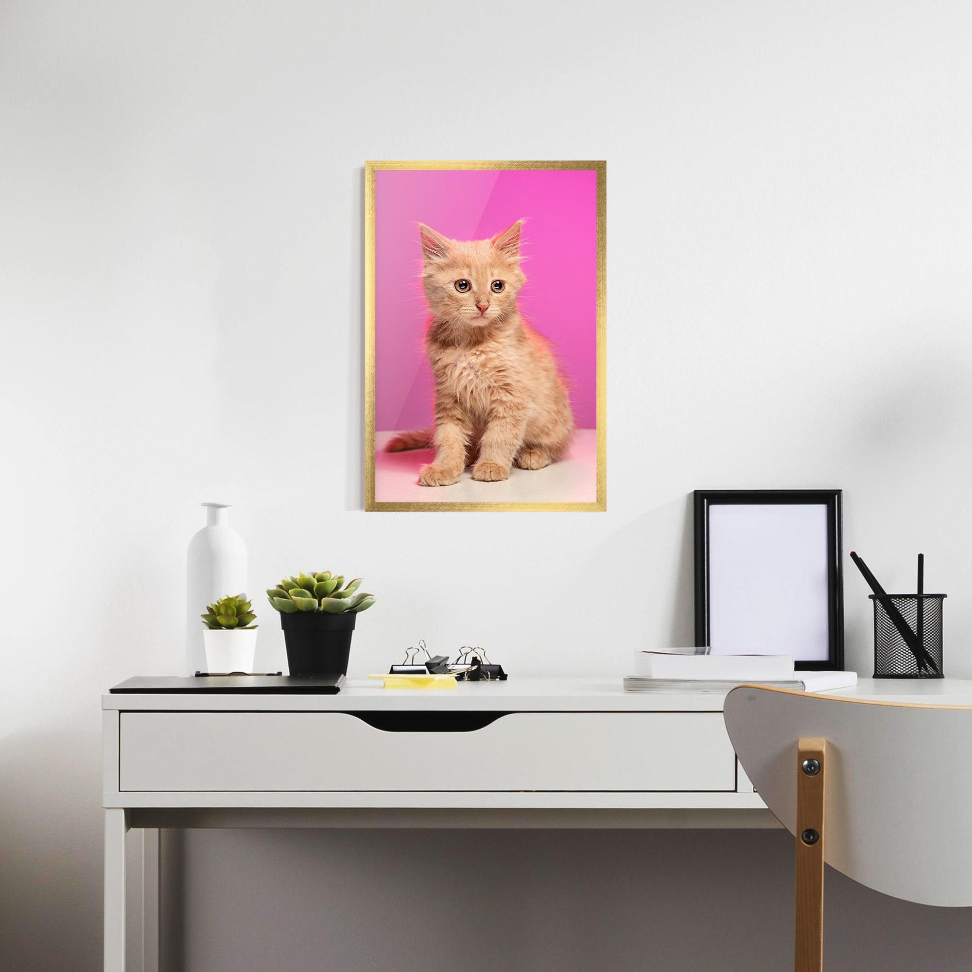 Gerahmte Poster Orange Cat On Pink mockup 7
