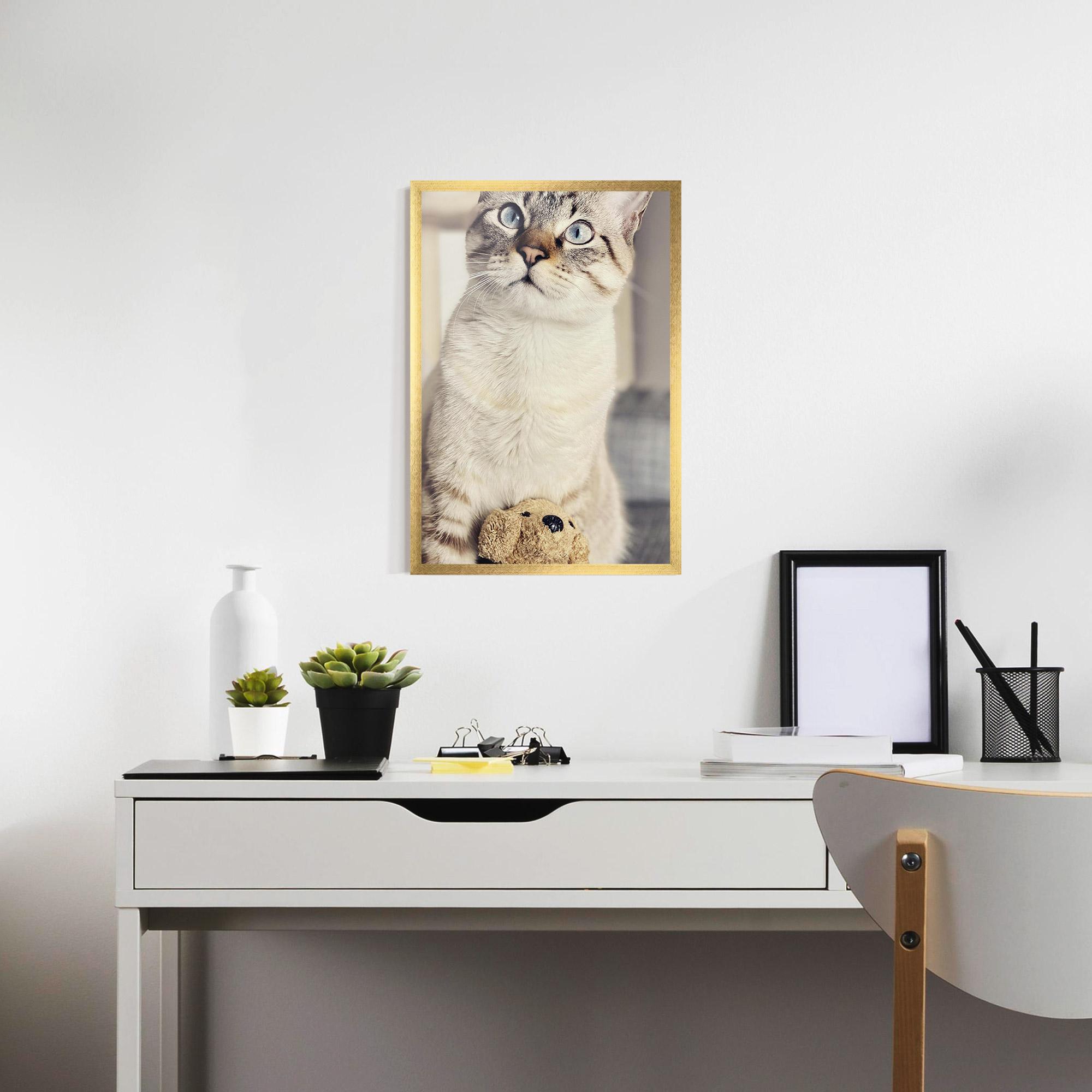Gerahmte Poster Pretty Blue Eyes Cat mockup 7