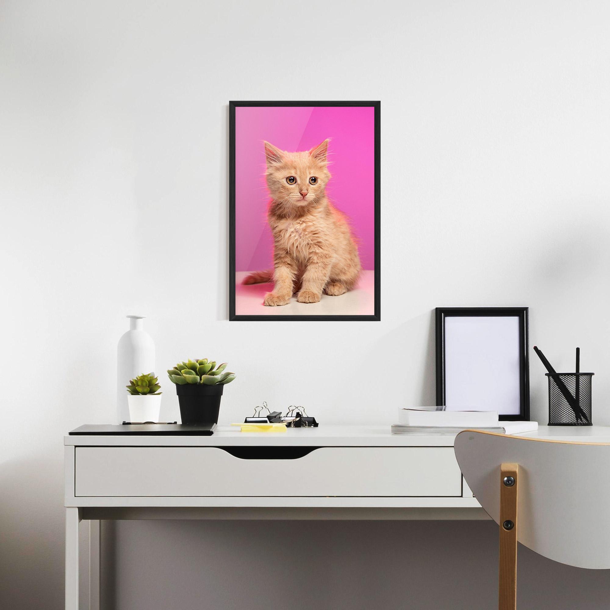 Gerahmte Poster Orange Cat On Pink mockup 7