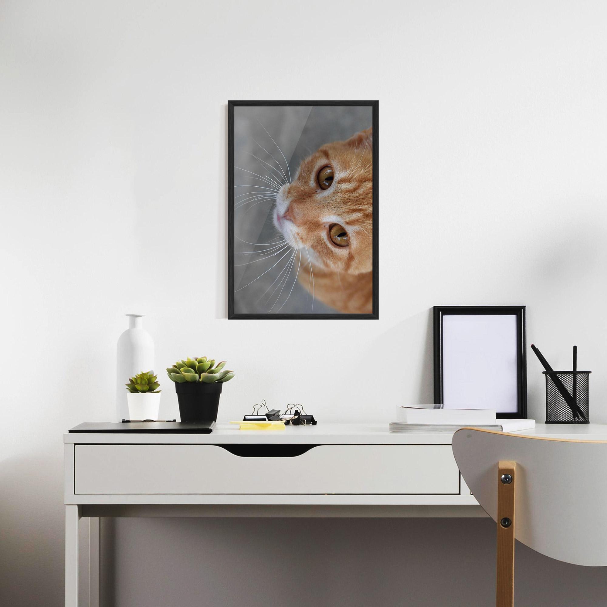 Gerahmte Poster Pretty Orange Eyes Cat mockup 7