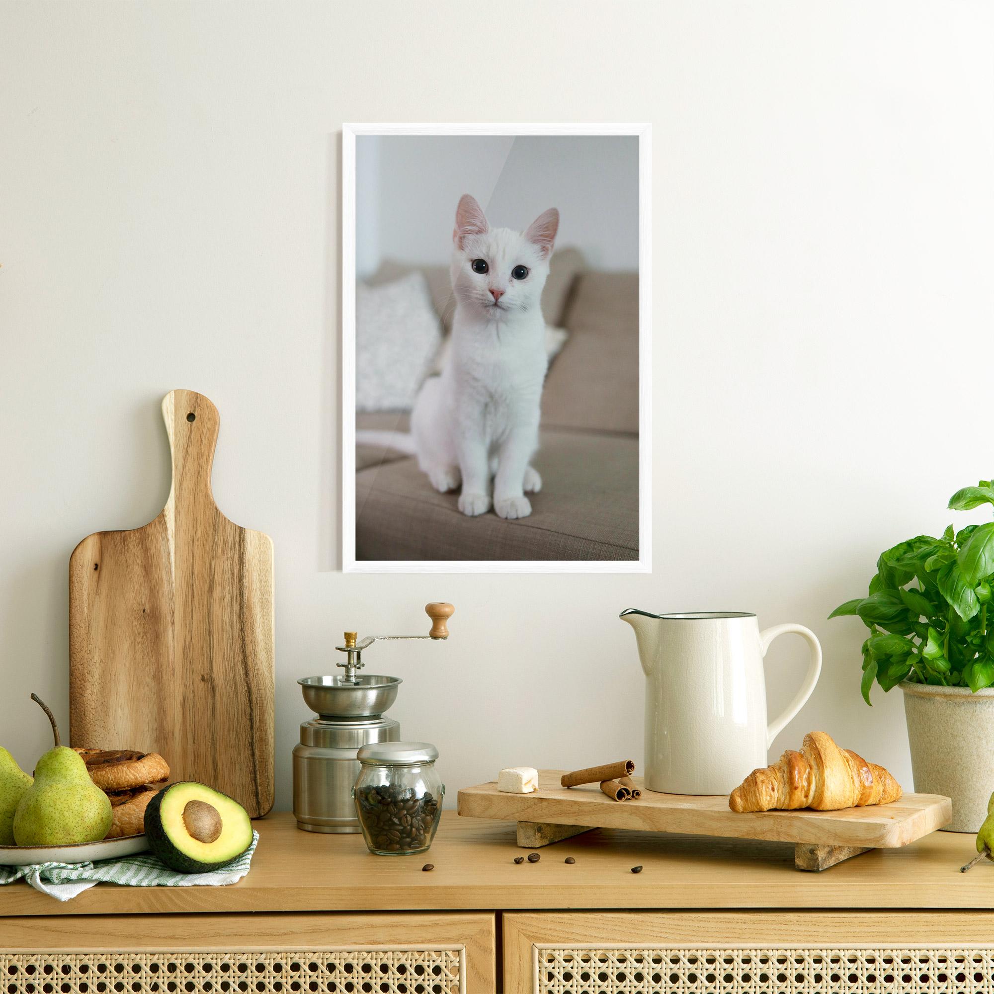 Gerahmte Poster Beautiful White Cat mockup 8
