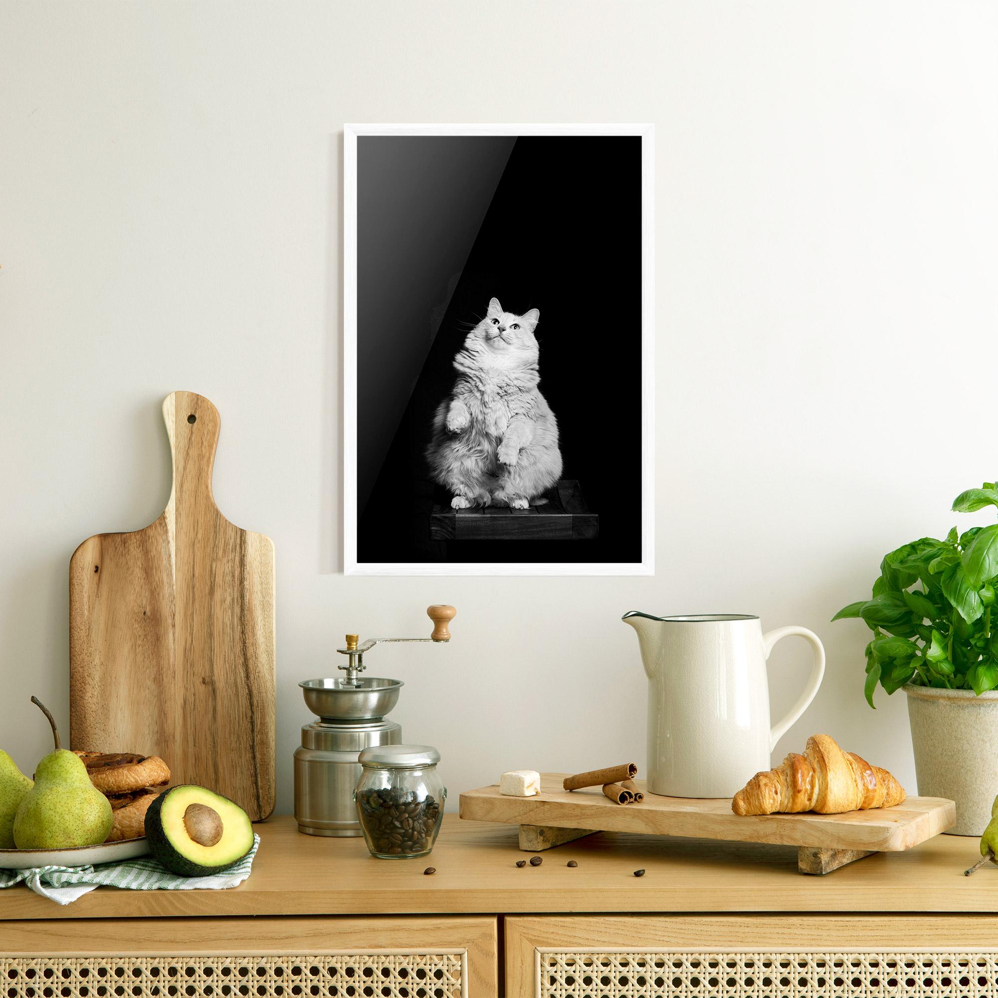 Gerahmte Poster Big Fluffy Cat mockup 8