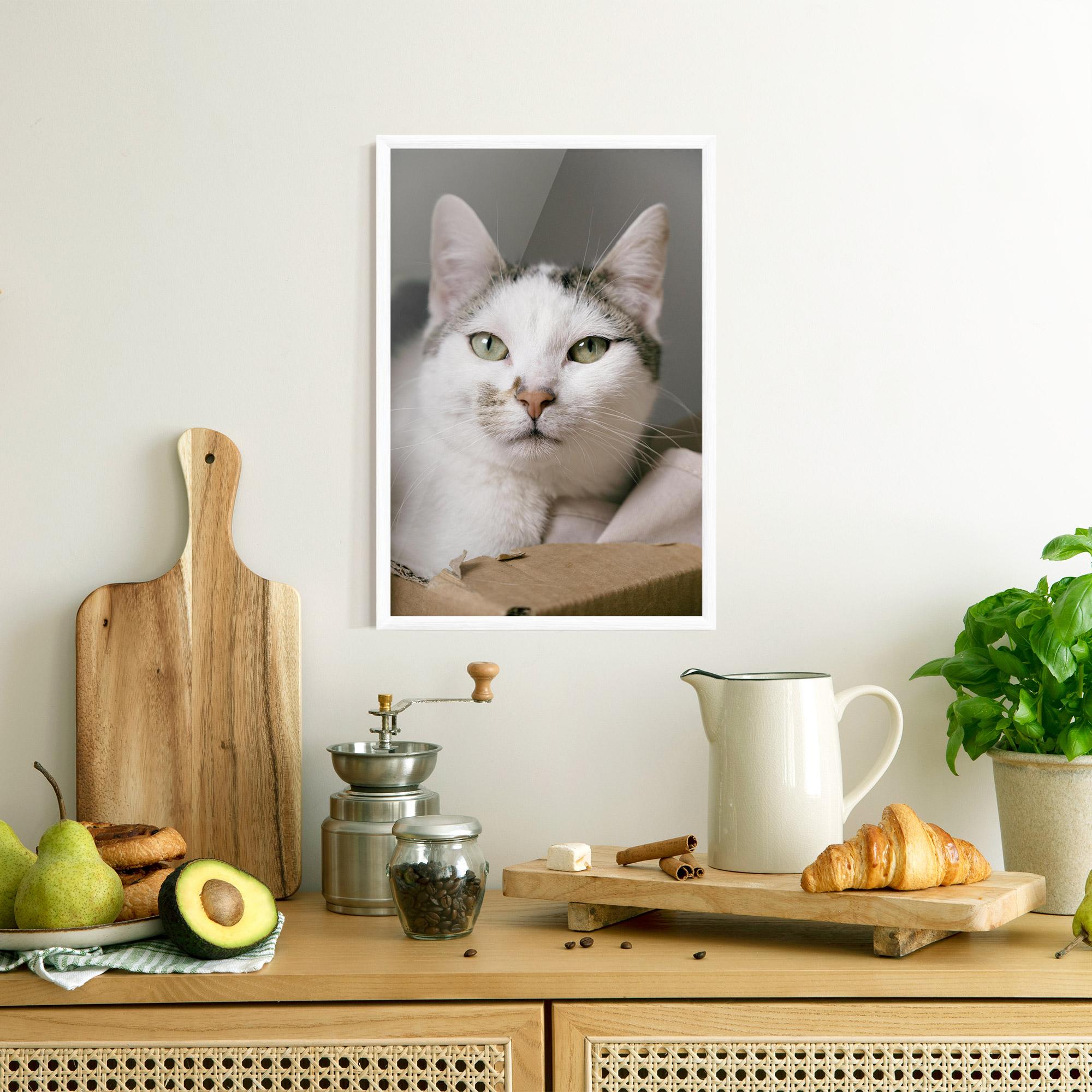 Gerahmte Poster Big Sleepy Cat mockup 8