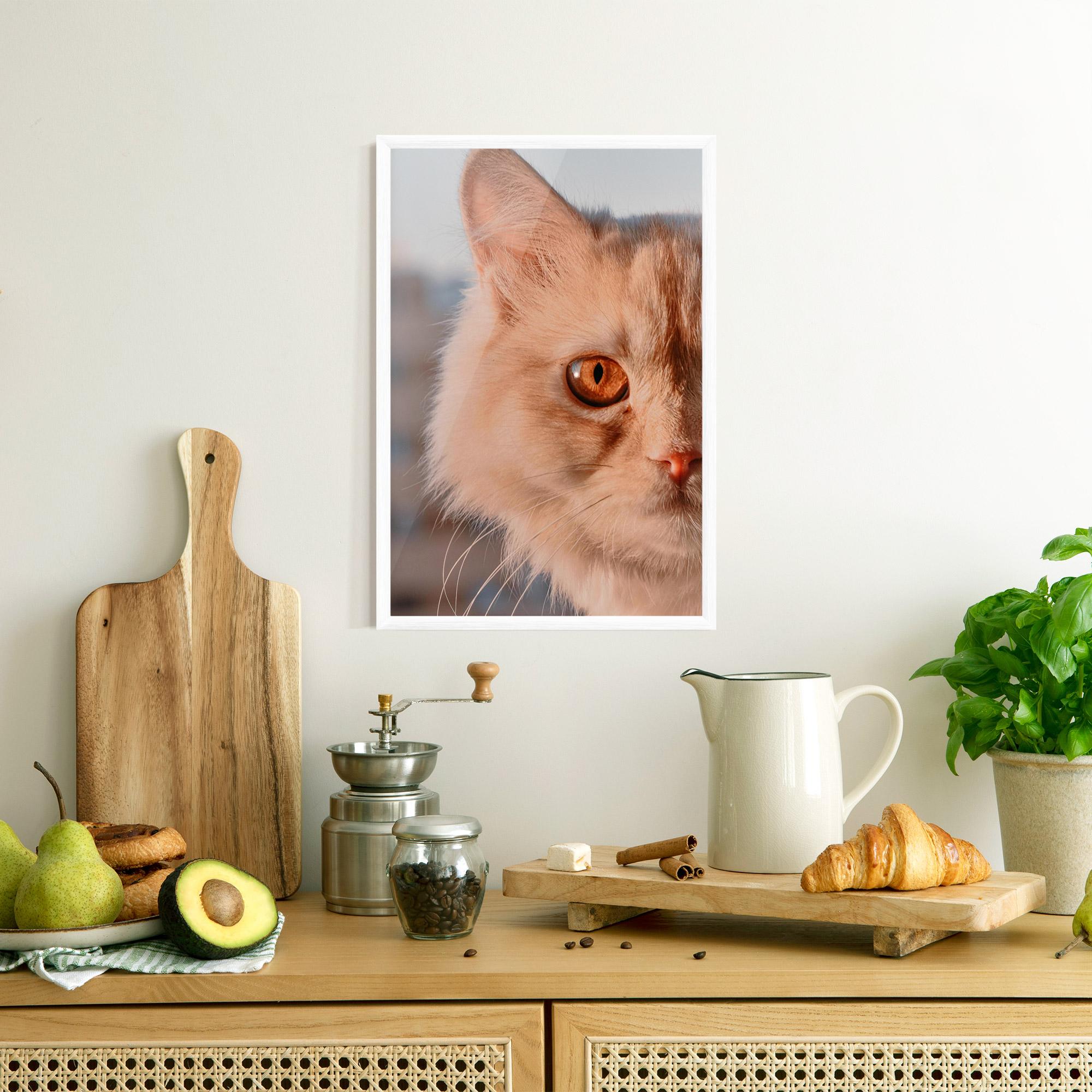 Gerahmte Poster Cat Eye In Sun mockup 8