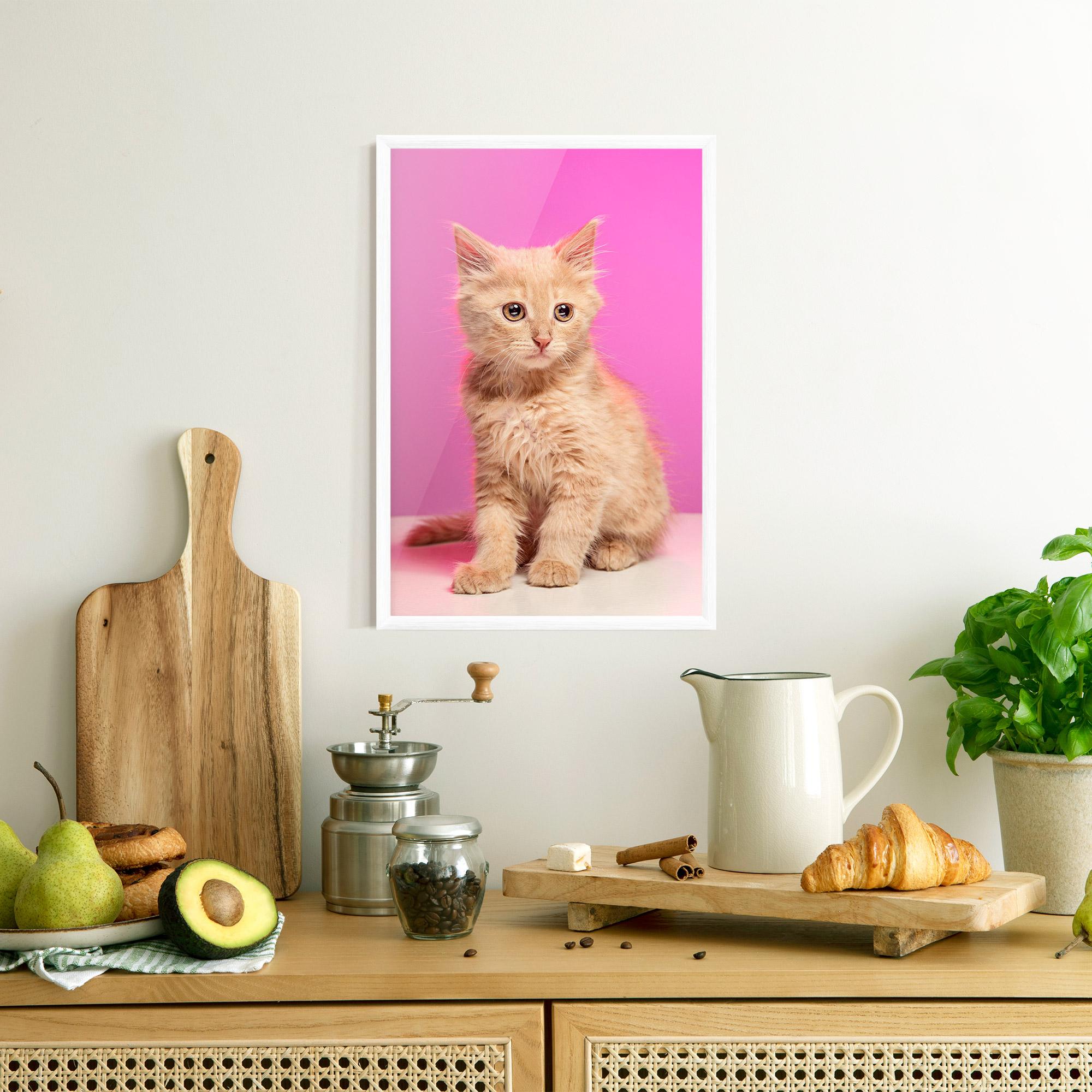 Gerahmte Poster Orange Cat On Pink mockup 8