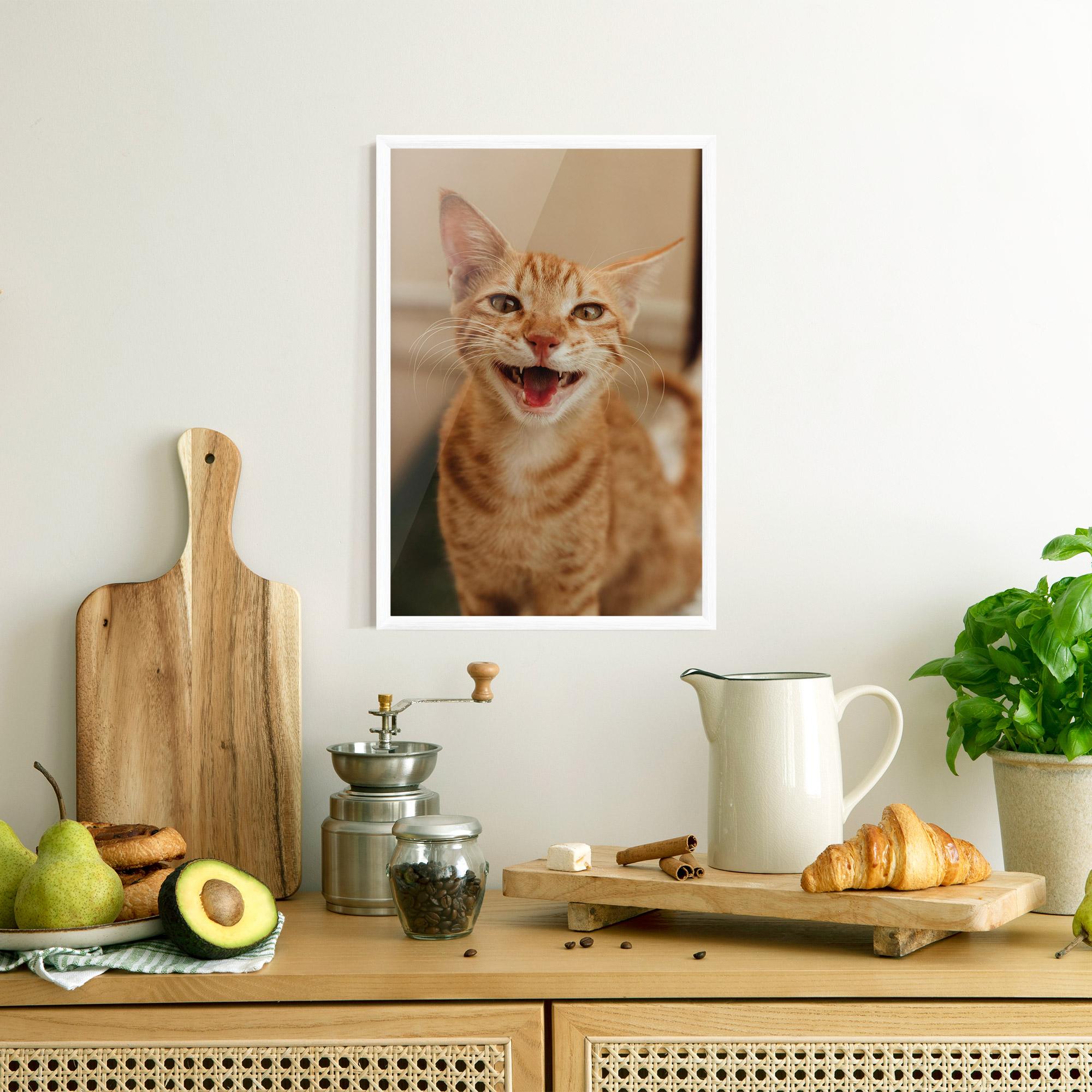 Gerahmte Poster Orange Cat Smiling mockup 8