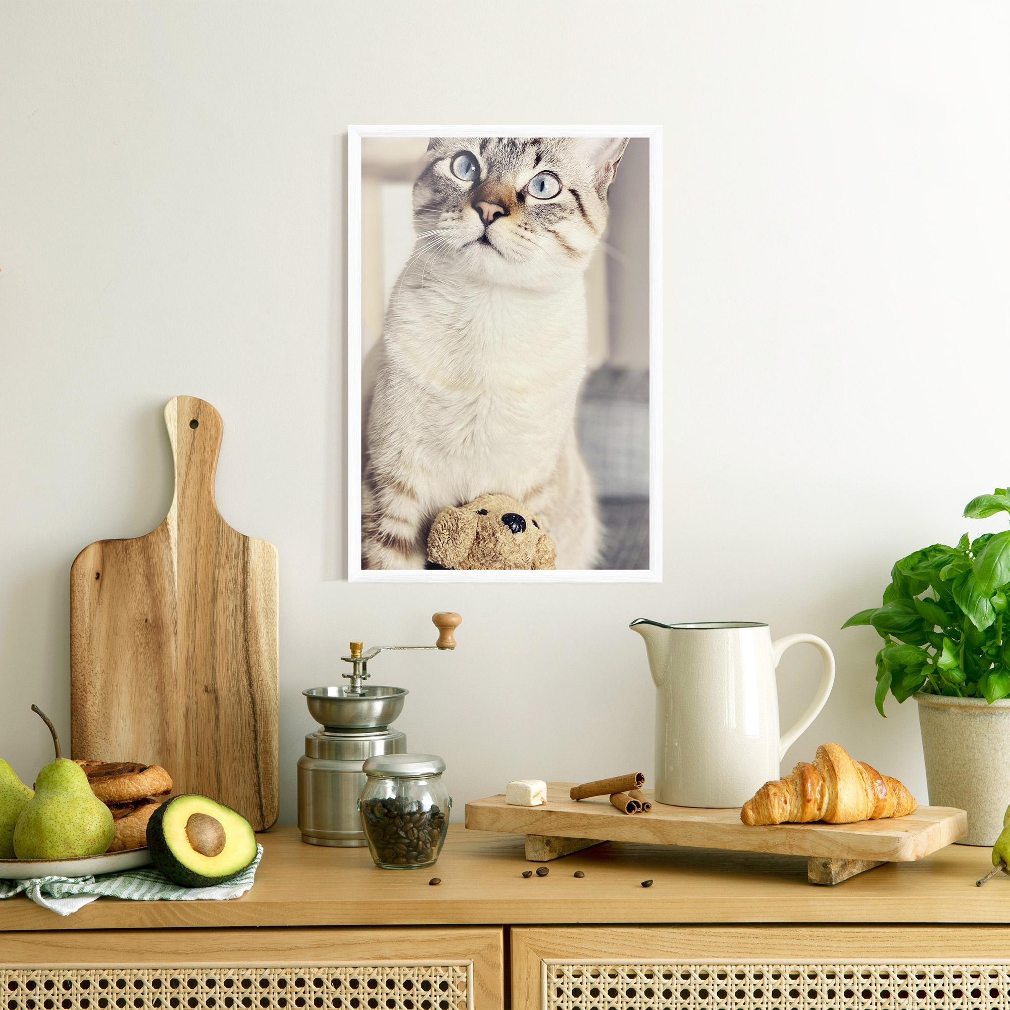Gerahmte Poster Pretty Blue Eyes Cat mockup 8