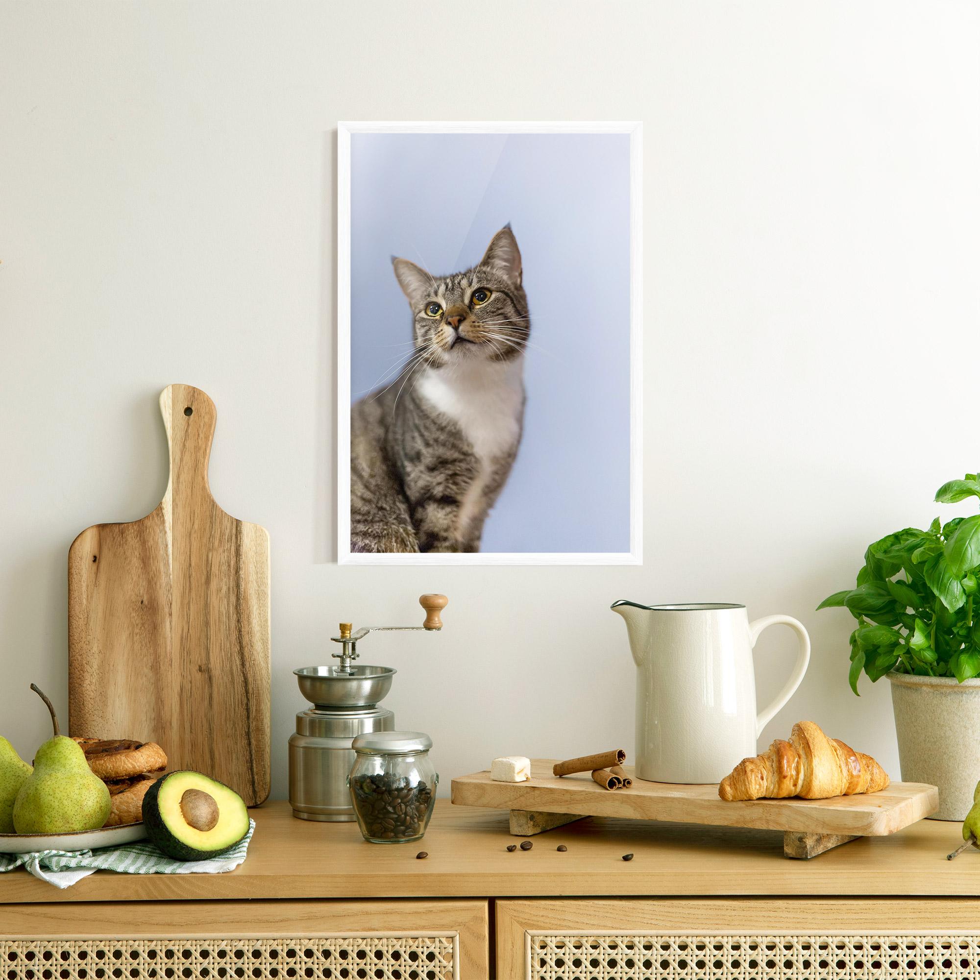 Gerahmte Poster Yellow Eyes Cat mockup 8