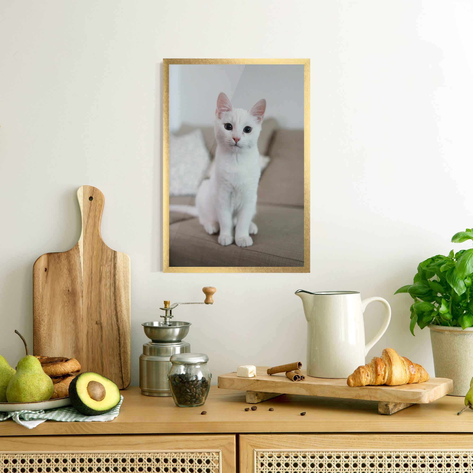 Gerahmte Poster Beautiful White Cat mockup 8
