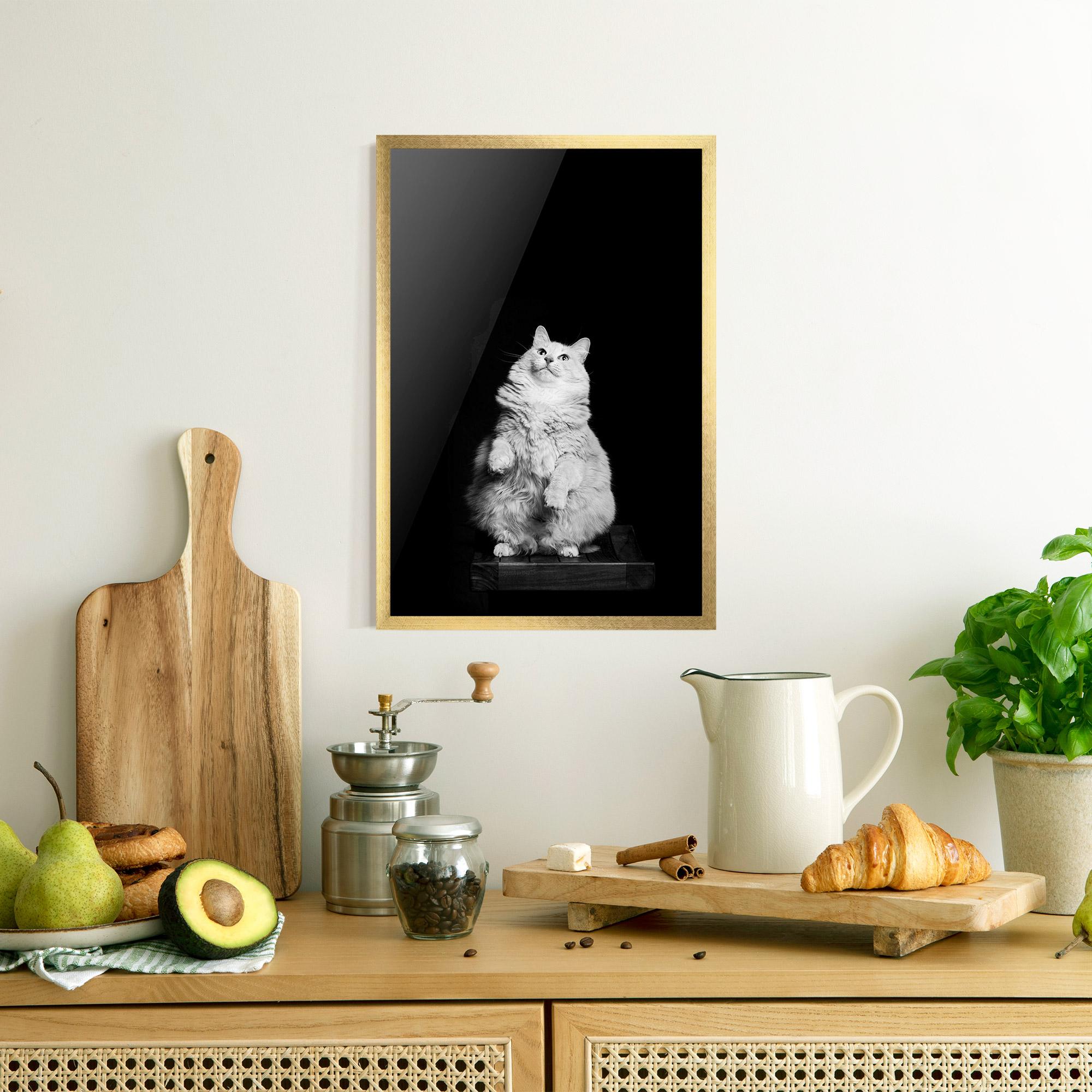 Gerahmte Poster Big Fluffy Cat mockup 8