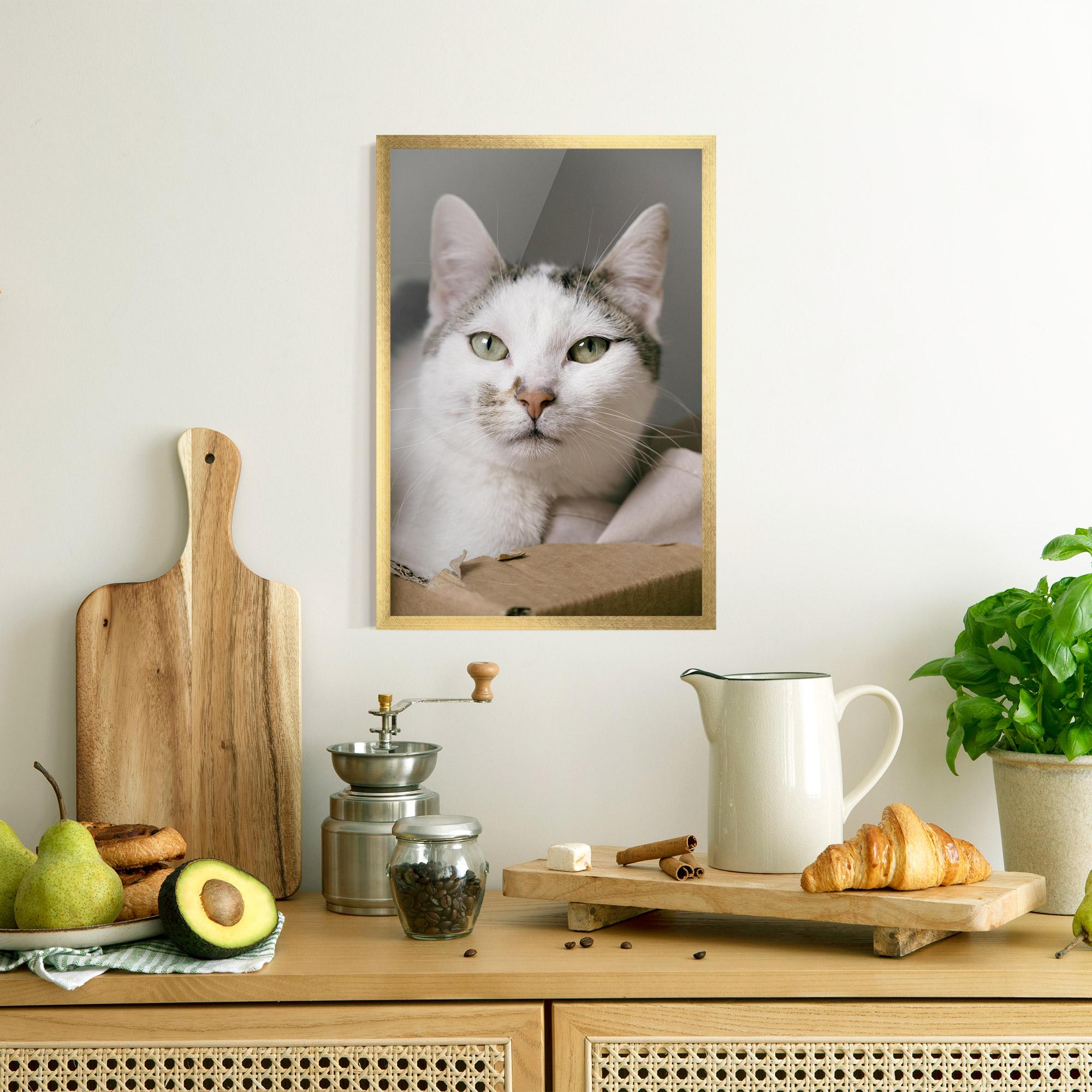 Gerahmte Poster Big Sleepy Cat mockup 8