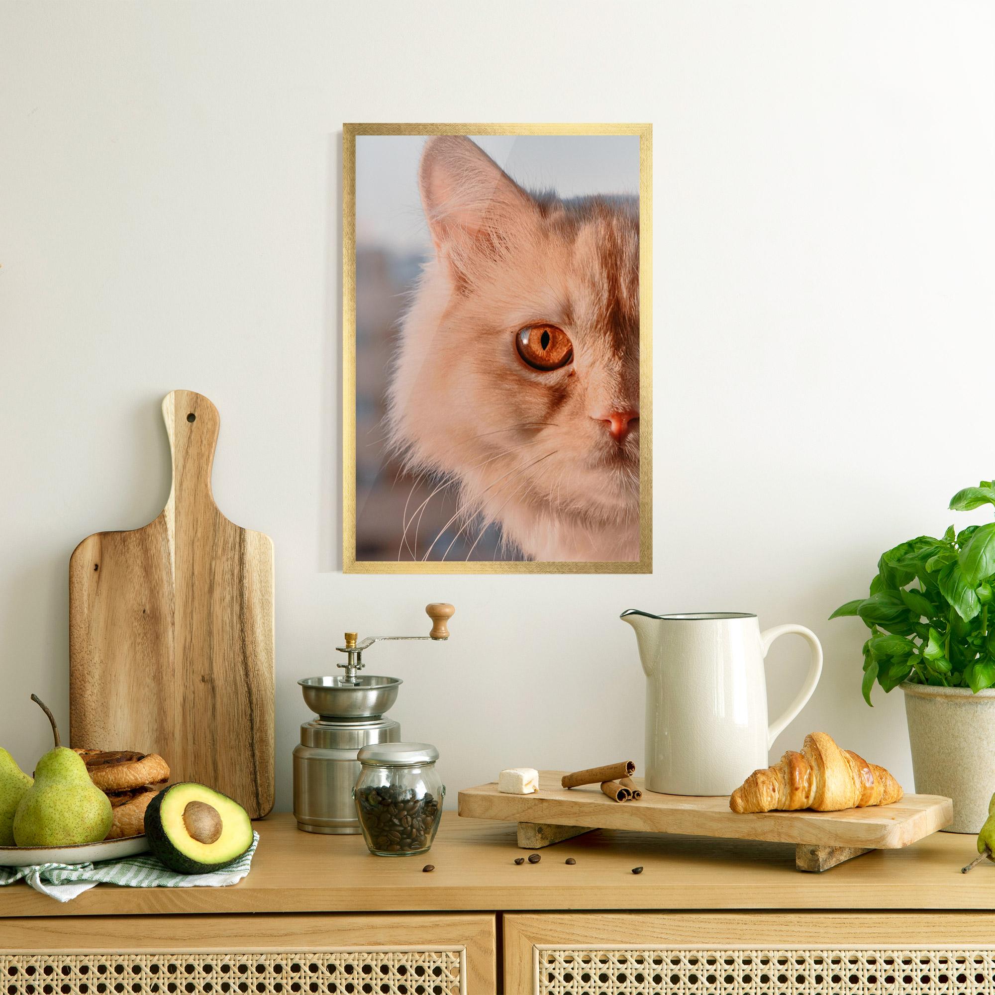 Gerahmte Poster Cat Eye In Sun mockup 8