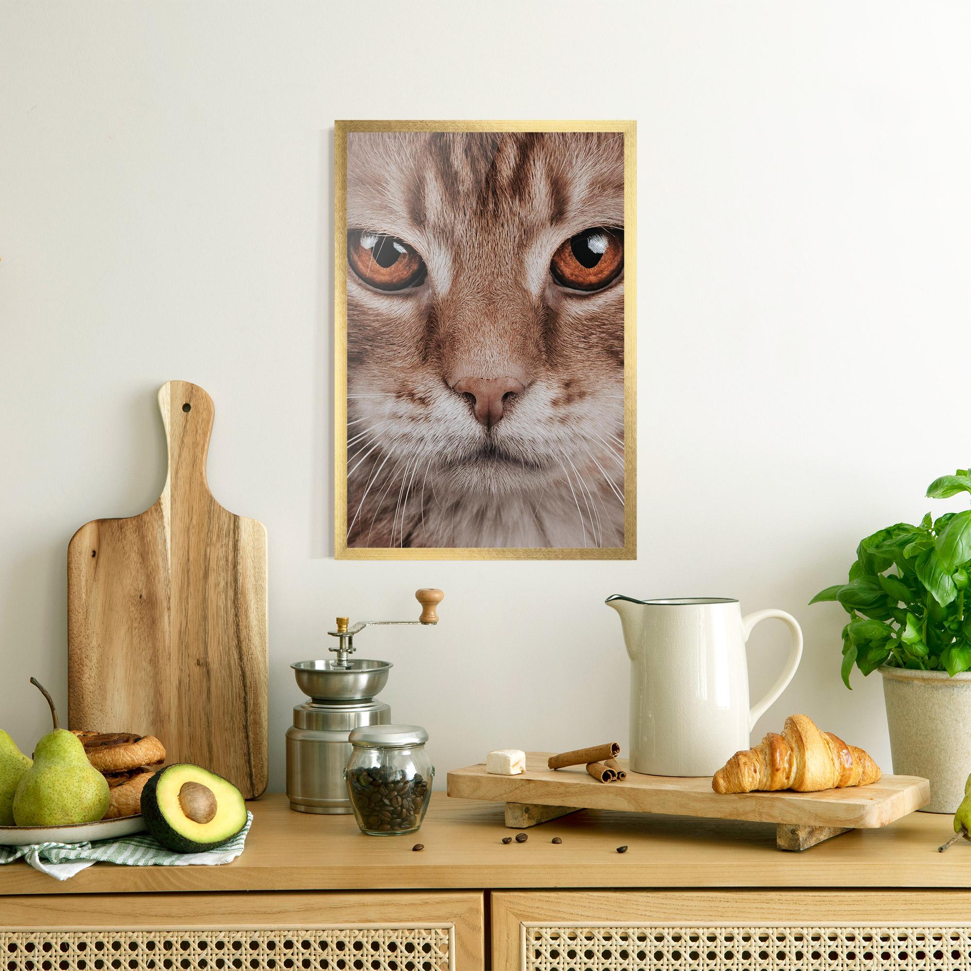 Gerahmte Poster Fire Eyes Cat mockup 8