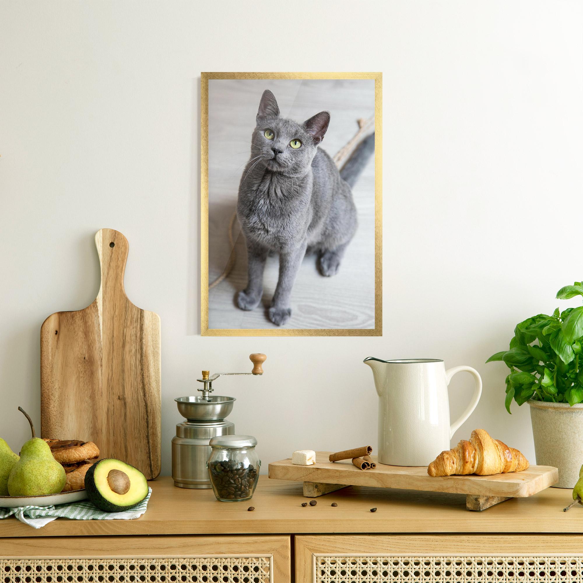 Gerahmte Poster Grey Green Cat Eyes mockup 8