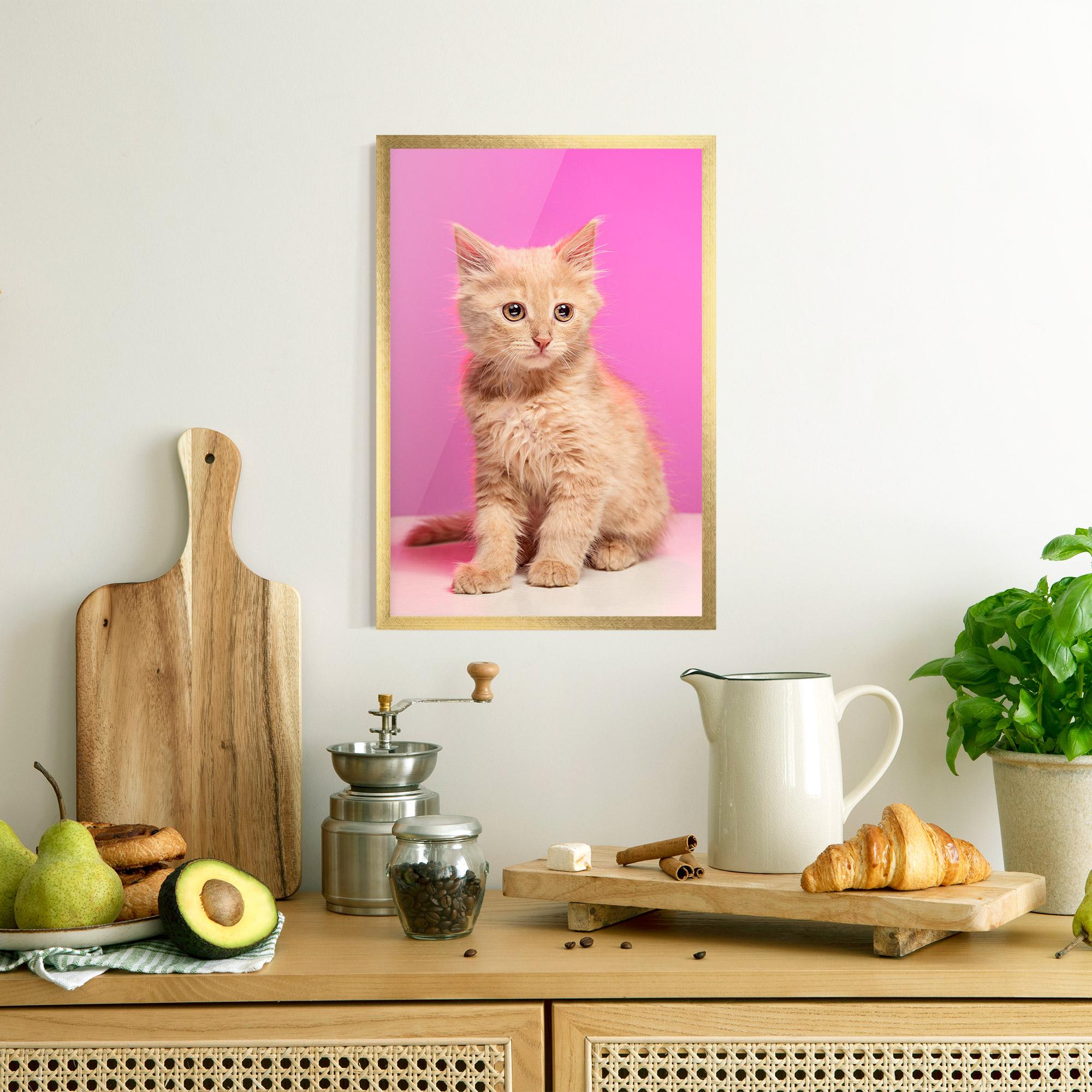 Gerahmte Poster Orange Cat On Pink mockup 8