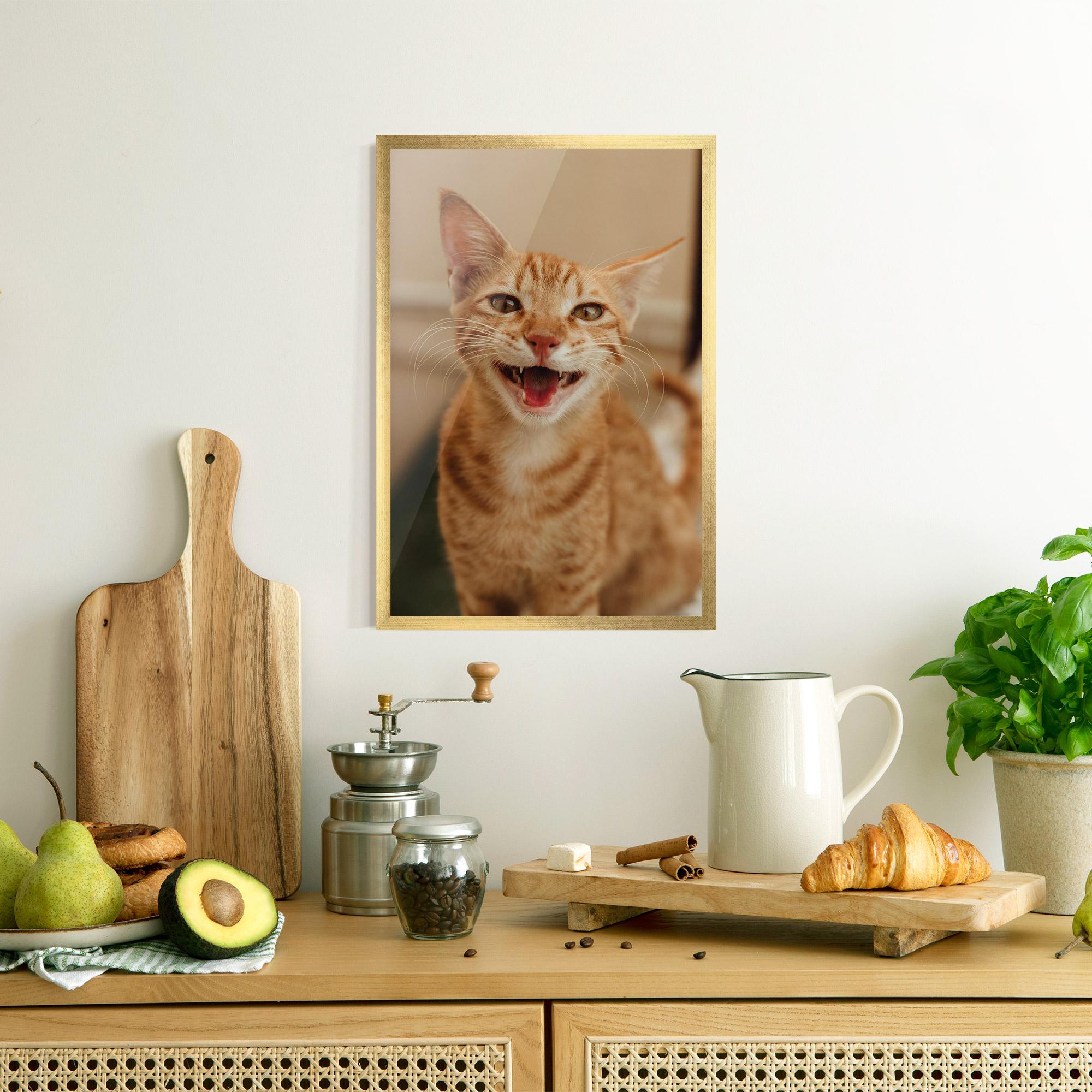 Gerahmte Poster Orange Cat Smiling mockup 8