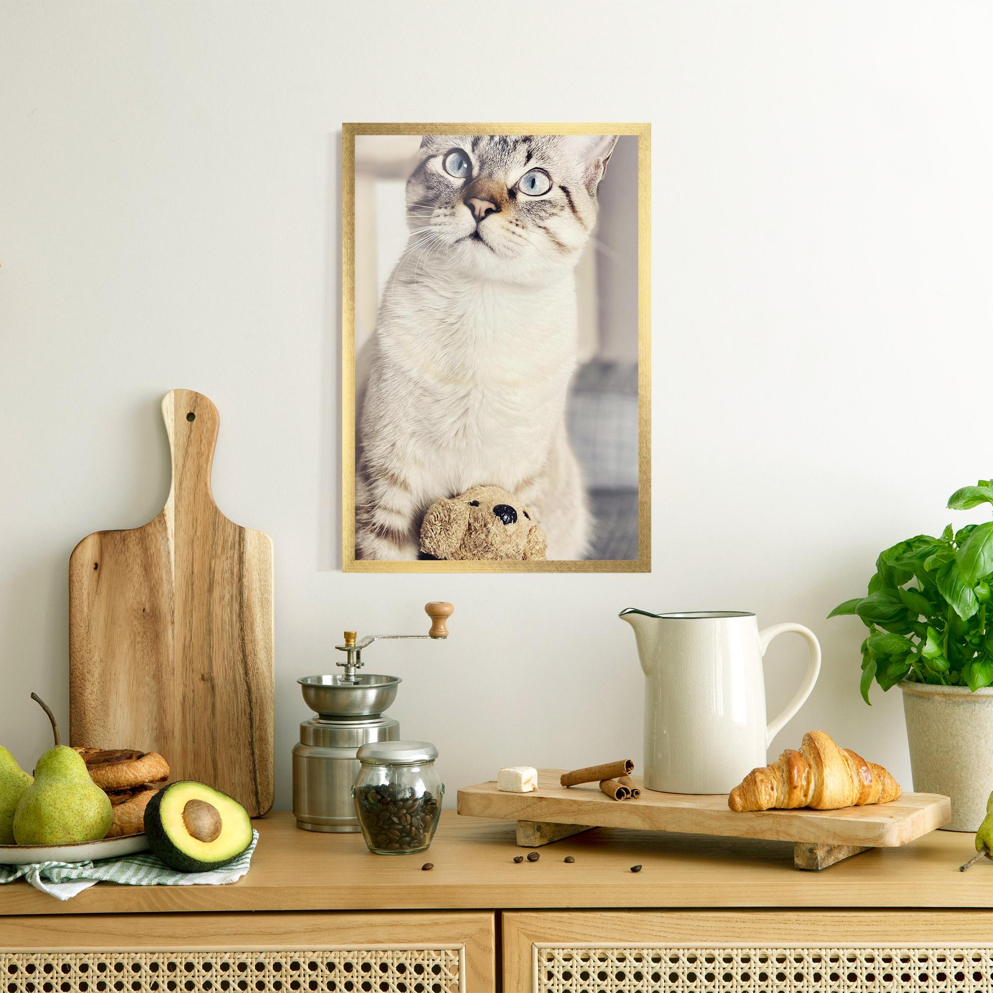 Gerahmte Poster Pretty Blue Eyes Cat mockup 8