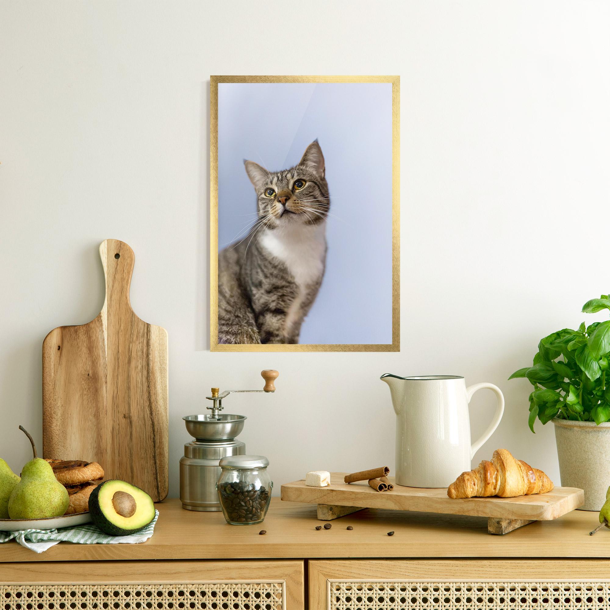 Gerahmte Poster Yellow Eyes Cat mockup 8