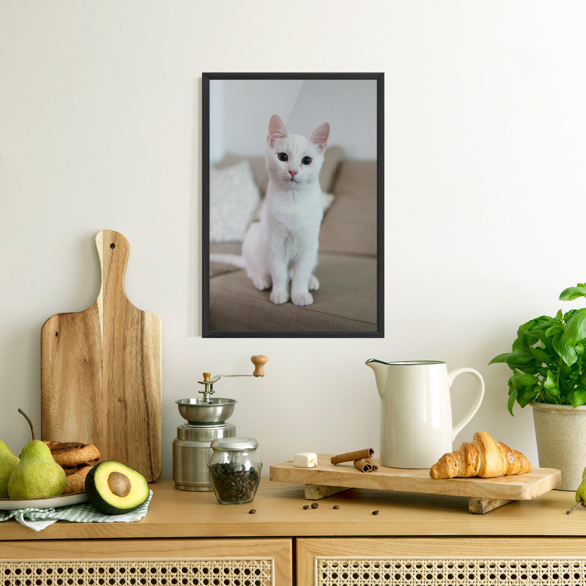 Gerahmte Poster Beautiful White Cat mockup 8