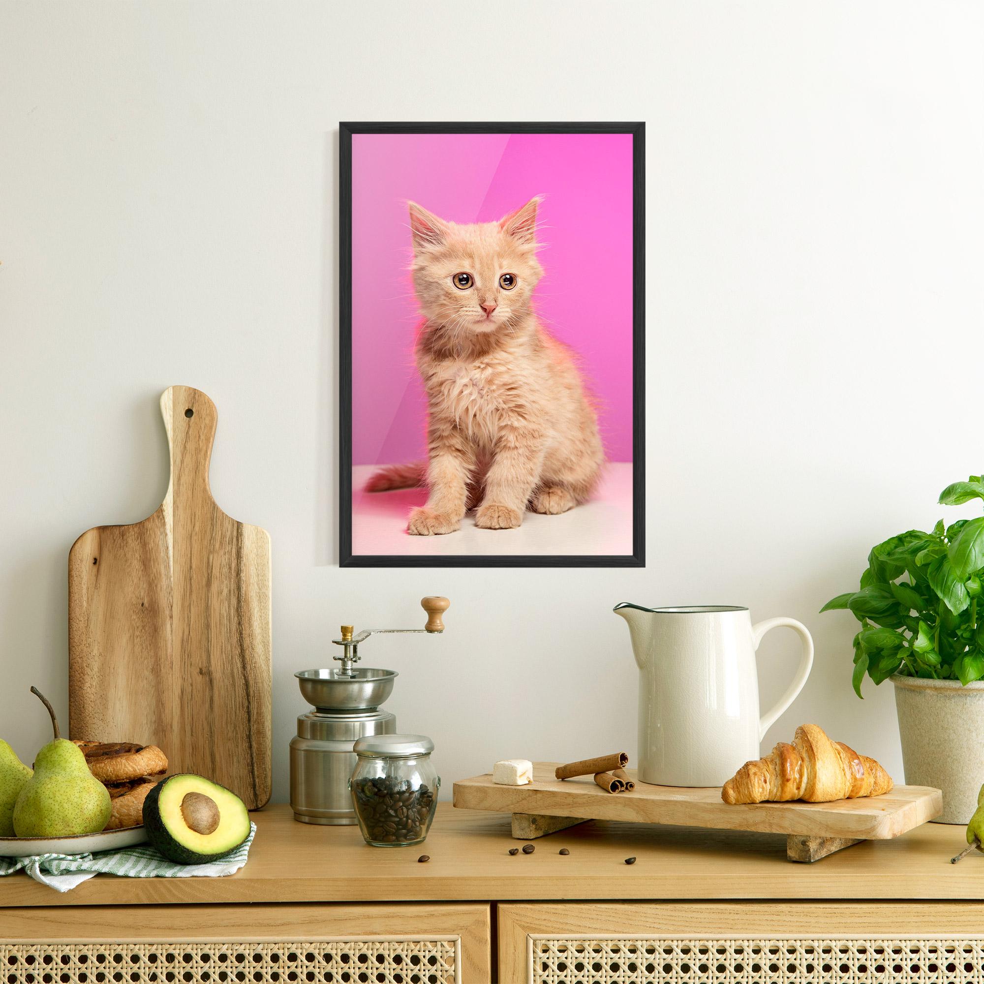 Gerahmte Poster Orange Cat On Pink mockup 8