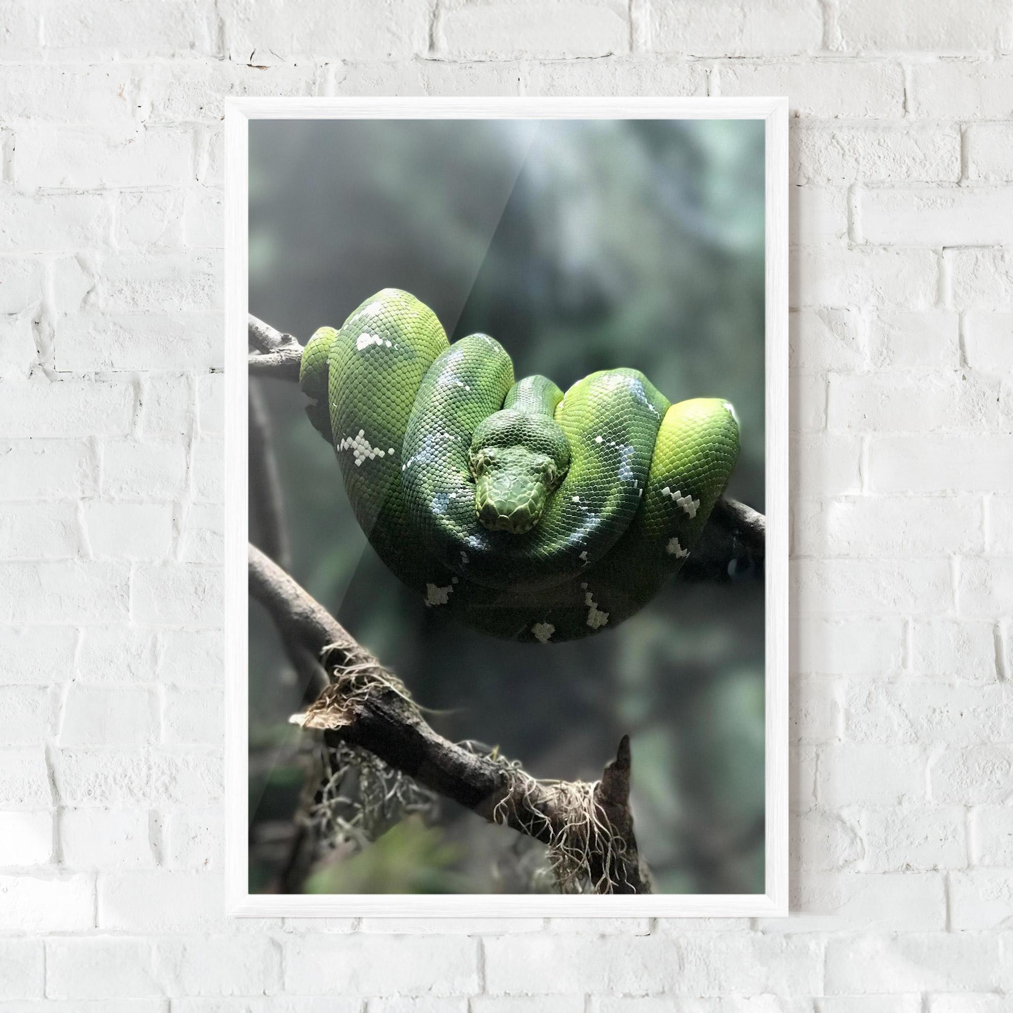 Gerahmte Poster Sleepy Snake mockup 0