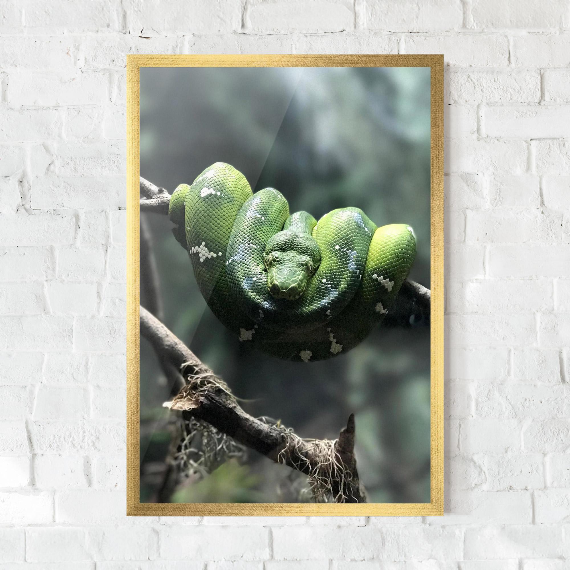 Gerahmte Poster Sleepy Snake mockup 0