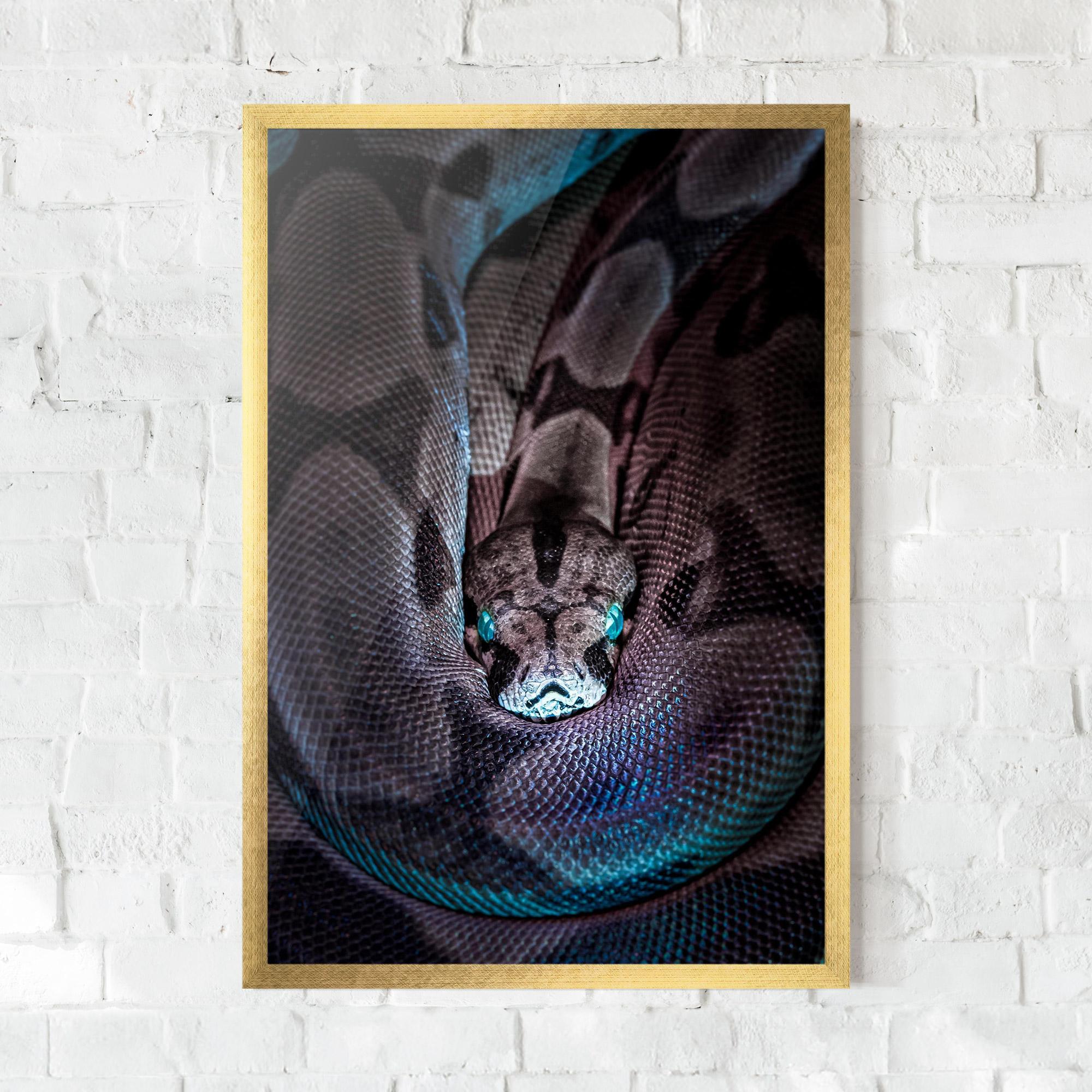 Gerahmte Poster Vibrant Snake mockup 0